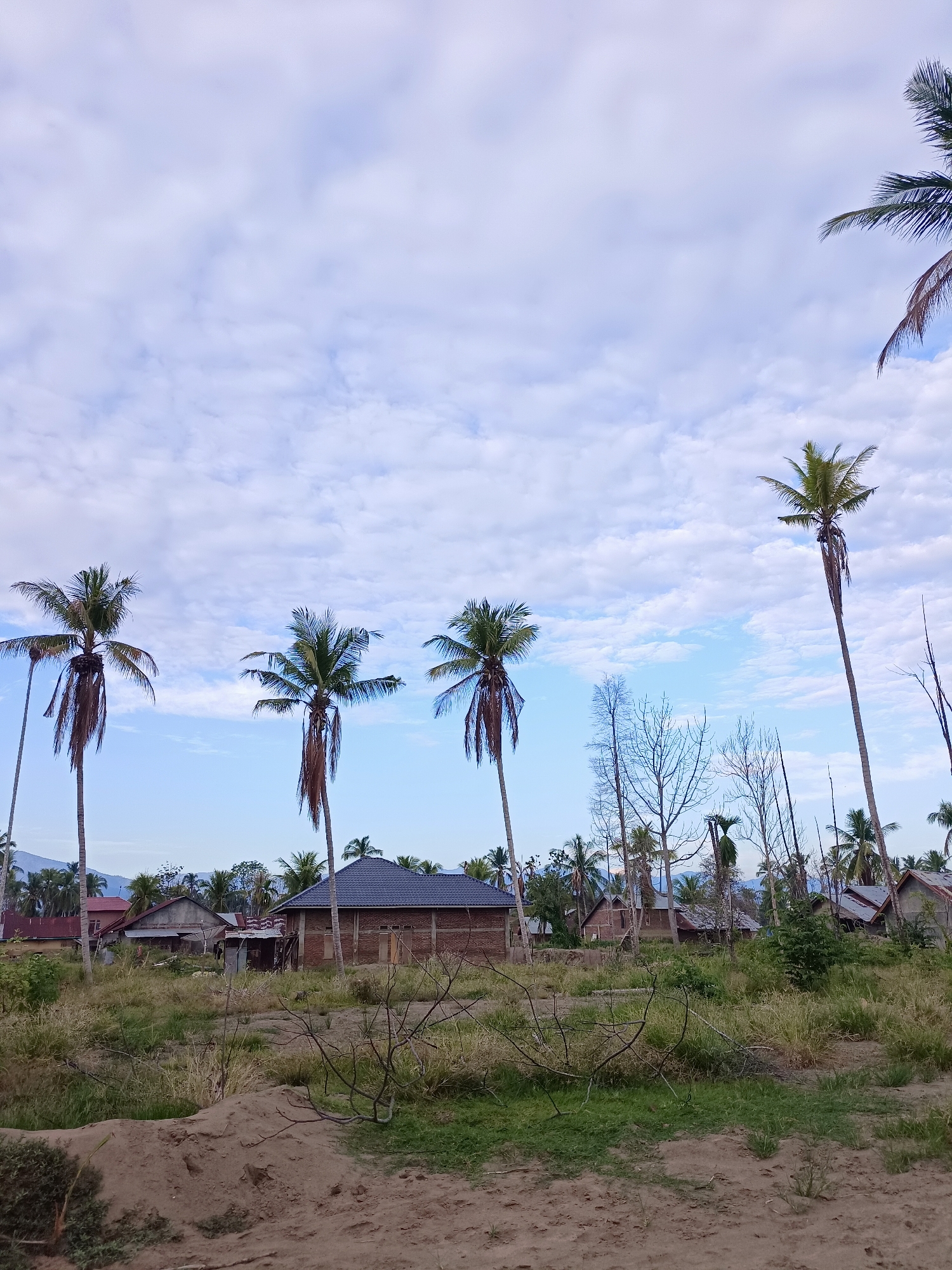 The image captures a view of a village in Gampong Blang, Indonesia, with a focus on the natural environment and local architecture. In the foreground, a sandy area with sparse dry vegetation leads into a field of overgrown green grass. Several bare, leafless trees stand amidst the greenery, their branches stark against the sky. Behind this, a cluster of houses is visible. One house in the middle foreground has a dark tiled roof and appears to be constructed of brick. Other houses in the background have red or gray roofs and are interspersed with numerous tall palm trees. The sky above is a mix of pale blue and white clouds, with the sun likely having set or about to rise, casting a soft light. Mountains can be seen in the distant background. The overall scene depicts a rural village setting under a cloudy sky.