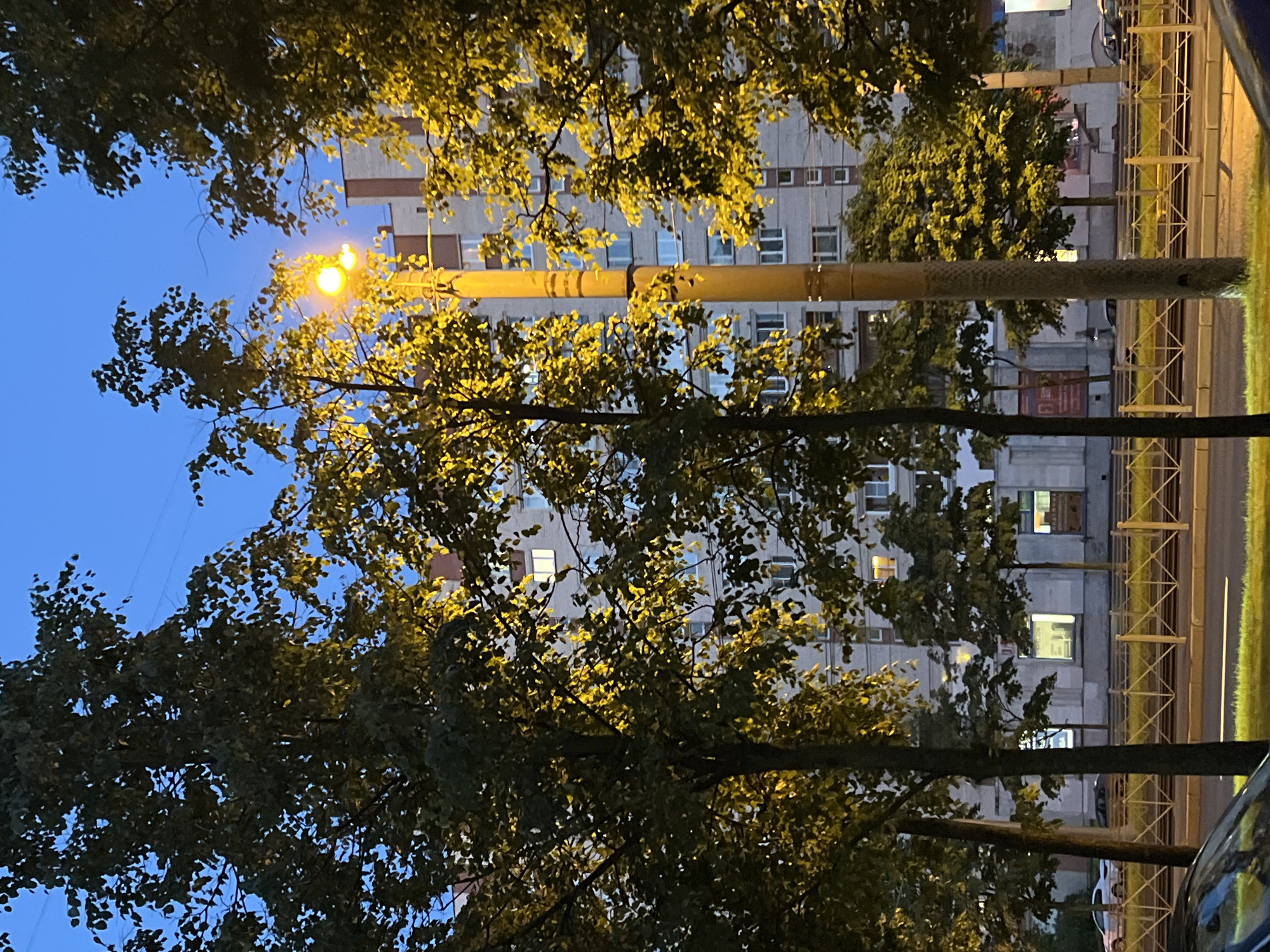 The image depicts a street scene in an urban environment at dusk. A tall, yellow lamppost with a lit bulb stands prominently in the center, casting a warm glow. In the background, a multi-story building with numerous windows, some illuminated, rises behind a row of trees. The trees, with dense green foliage, flank the lamppost and the building, creating a layered effect. A street with cars and a decorative metal fence is visible in the mid-ground. The sky above is a deep twilight blue. The scene appears to be a residential area or a commercial district in the city of Unknown, Russia.