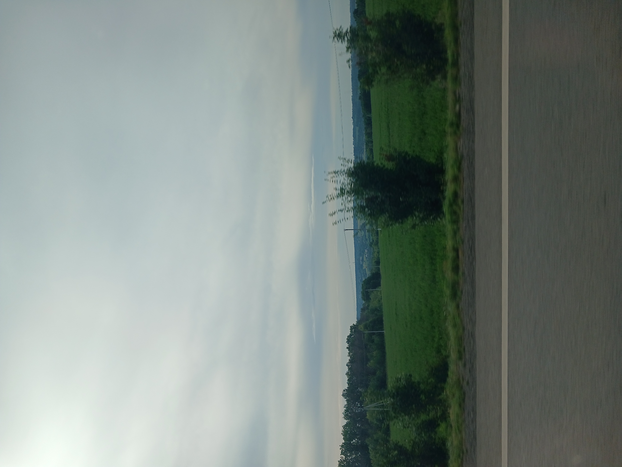 The image depicts a rural landscape scene. In the foreground, there is a gray asphalt road with a white line marking the lane. Behind the road, there is a vibrant green field bordered by a line of trees. Two solitary bushes stand within the field, slightly blurred, suggesting motion. In the background, a forest stretches across the horizon, with a hazy sky overhead. The overall scene is serene and natural, indicative of an outdoor environment.