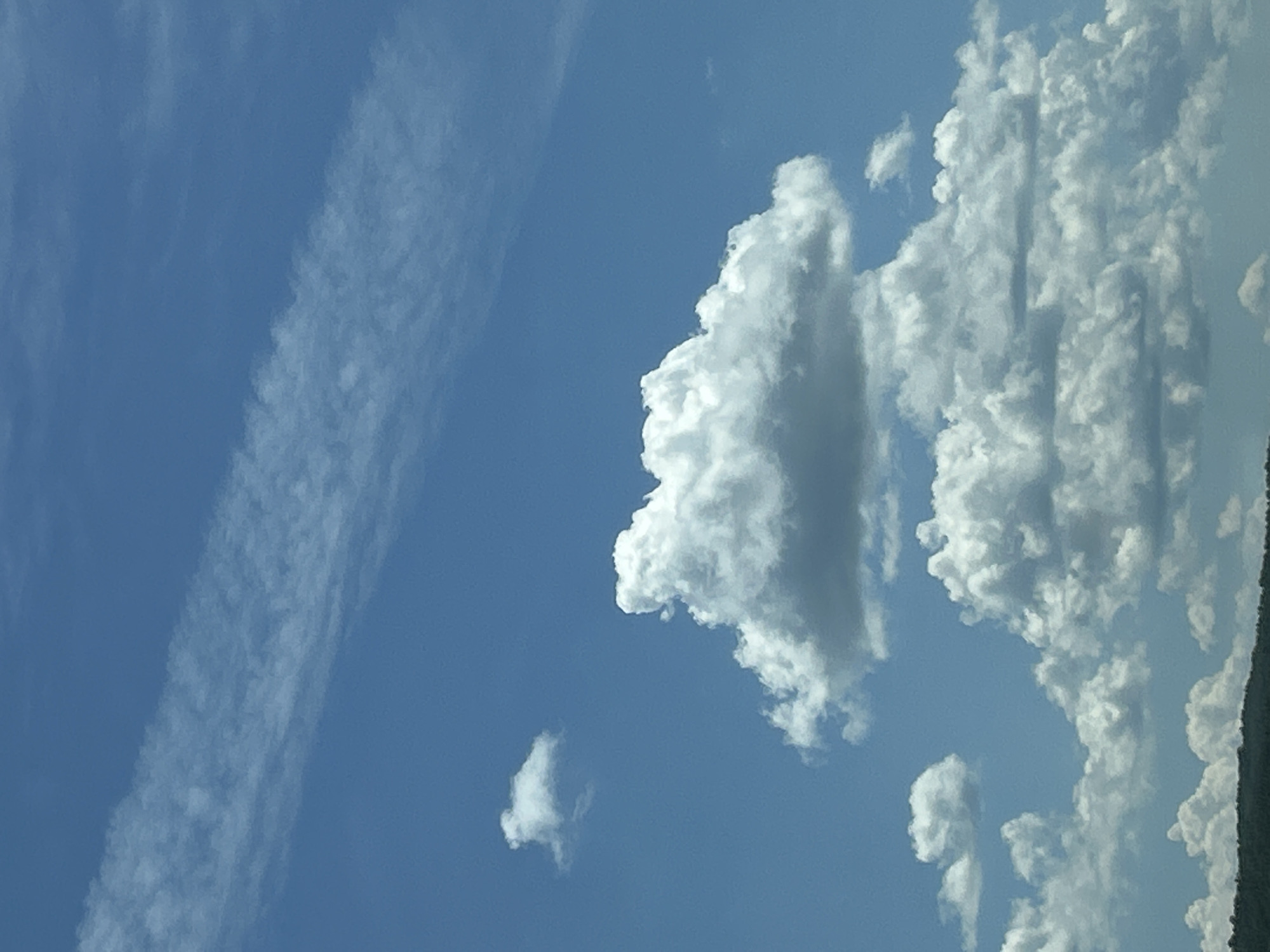 A bright blue sky is filled with a variety of clouds. A thin, wispy layer of cirrus clouds stretches diagonally across the upper portion of the image. Below this, a large, fluffy cumulus cloud dominates the center, casting subtle shadows. More cumulus clouds, ranging in size from small puffs to larger formations, are scattered across the lower half of the sky. The very bottom of the image shows a dark, silhouetted treeline against the horizon, suggesting a terrestrial landscape. The image appears to be a landscape photograph taken outdoors on a clear day, possibly in the city of Rajana, Bulgaria, though no specific landmarks or identifying features are visible within the frame.