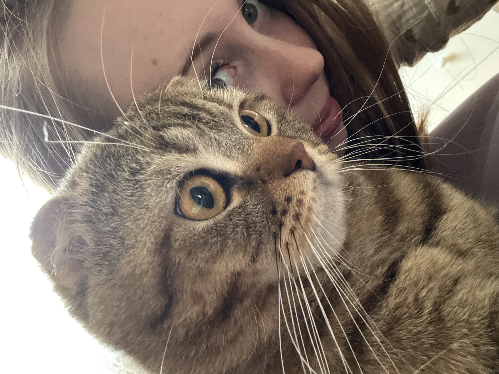 A close-up, low-angle shot captures a person and a tabby cat in an affectionate moment indoors. The cat's face dominates the foreground, with its large, amber-gold eyes looking upwards and to the right. Its brown and black striped fur is clearly visible, as are its prominent white whiskers and a small pink nose.
Behind the cat, the person's face is partially visible, primarily their left eye, nose, and part of their cheek. They have light skin, brown hair, and green or hazel eyes that are open and looking towards the cat or slightly away. Their tongue is slightly out, suggesting they might be licking or nuzzling the cat's fur, indicating a playful or affectionate interaction. A small mole is visible on the person's cheek.
The background is softly lit and out of focus, giving no specific location cues other than suggesting an indoor setting. The overall mood is one of warmth, affection, and intimacy between the human and their feline companion. No text is visible in the image.