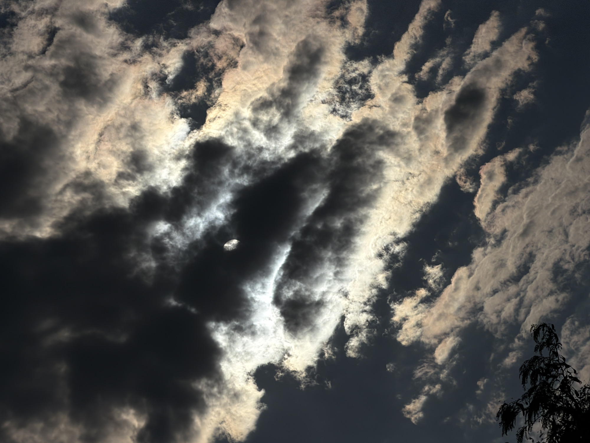 The image is a close-up, low-angle shot of a cloudy sky. Dark, ominous clouds dominate the upper portion of the frame, with patches of lighter, illuminated clouds interspersed, suggesting sunlight breaking through. A sliver of the moon is visible in the upper right quadrant, partially obscured by clouds. In the lower left corner, the silhouette of a tree branch with delicate foliage is visible, its leaves appearing to be moved by wind. The lighting creates a dramatic, almost turbulent atmosphere. There are no people or specific landmarks of Chirchik, Uzbekistan, visible in the image.