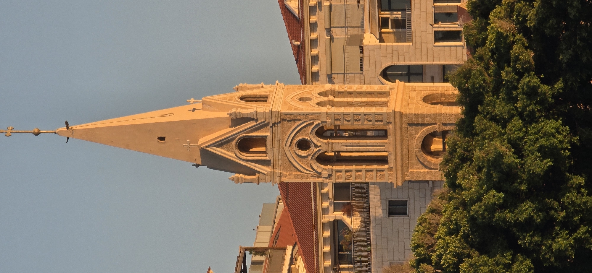 The image captures a close-up, vertical view of the clock tower of the Immanuel Church in Jaffa, Tel Aviv, Israel. The tower is constructed of light-colored stone and features architectural elements like pointed arches, decorative molding, and crosses at various points. The spire of the tower, topped with a cross, is illuminated by the warm, golden light of what appears to be sunset or sunrise. Adjacent to the tower are buildings with red-tiled roofs and stone facades. In the foreground, a dense canopy of green trees partially obscures the lower portion of the tower and surrounding structures. The sky is a clear, pale blue. There are no people or animals visible in the frame.