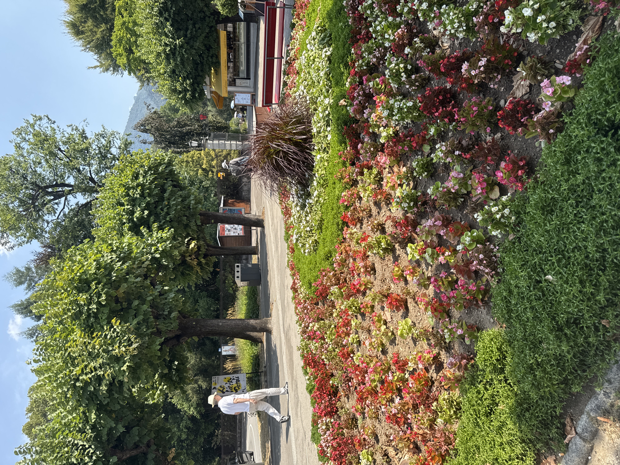 The image depicts a vibrant flower bed filled with numerous red, pink, and white begonias, as well as other greenery, in what appears to be a public park or street in Lugano, Switzerland. A man in a white hat and light-colored clothing is walking on a paved path in the background. Behind him, several trees with lush green foliage are visible, casting shadows on the ground. Further in the background, there's a yellow awning, likely for a cafe or shop, and a red bench. The sky is clear and blue, indicating a sunny day. The overall scene conveys a lively and well-maintained urban environment.