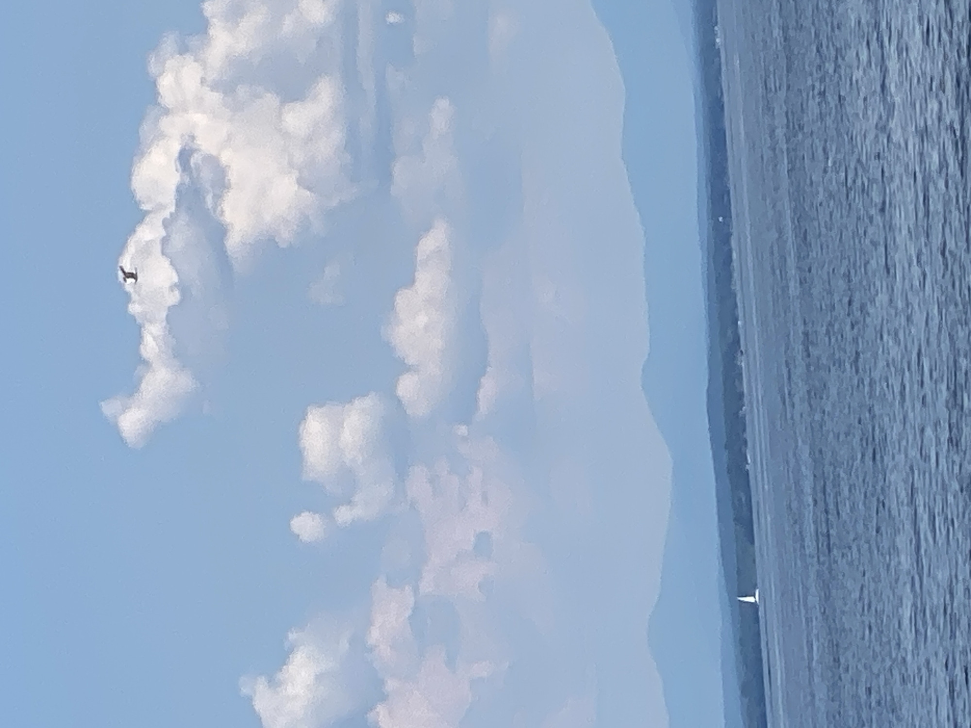 The image captures a serene landscape with a large expanse of blue sky filled with fluffy white clouds. A small, dark object, possibly a bird or a drone, is visible in the upper left quadrant of the sky, near a particularly large cloud formation. The lower portion of the image reveals a body of water with textured ripples, suggesting a gentle breeze. Along the horizon, a faint outline of land can be seen, with a single white sailboat appearing as a small speck on the water. The overall mood is tranquil, with the bright sky and calm water suggesting a pleasant day, likely during daylight hours. No text is visible in the image. The location is the Town of Peru, United States of America.