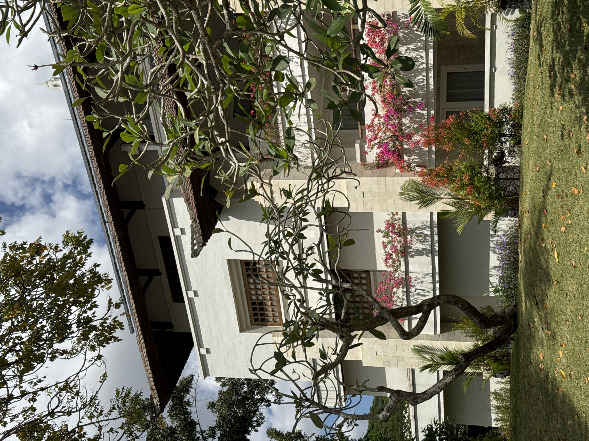 An exterior shot captures a multi-story building with white stucco walls and stone accents, partially obscured by lush green trees with intricate branches and leaves. The building features a dark tiled roof with exposed wooden beams. Several balconies adorned with vibrant pink and purple flowers cascade down the facade, adding a splash of color to the otherwise neutral tones. Two visible windows on the middle level have wooden lattice screens. Below the balconies, manicured green grass covers the ground, dotted with scattered fallen yellow leaves. In the foreground, a young, artfully twisted tree stands prominently. The sky above is a mix of bright blue and white clouds. This scene is likely a resort or hotel in Kuta Selatan, Indonesia, given the tropical foliage and architectural style.