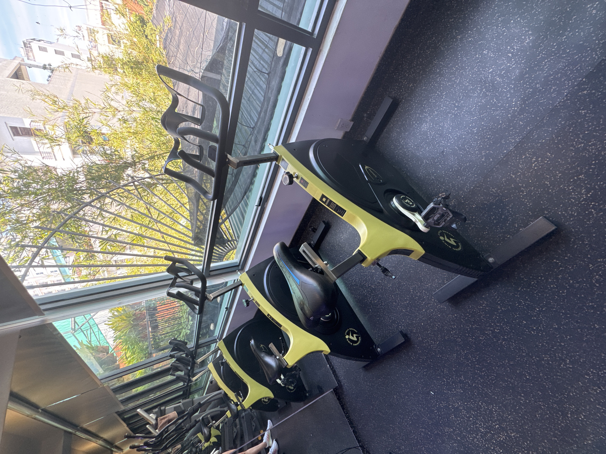 The image captures an indoor gym featuring several stationary bicycles lined up next to a large window. The bicycles are modern, with black frames and bright yellow accents on their body and seats. The window offers a view of lush green foliage and buildings, suggesting an urban setting. The gym floor is dark and textured. The lighting indicates it is daytime, with sunlight streaming through the window.