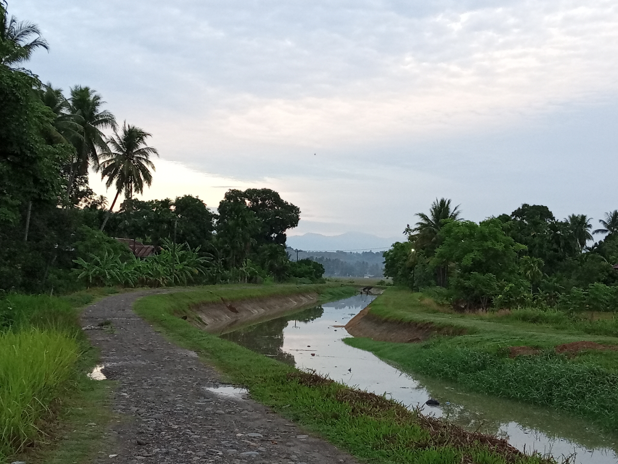 The image depicts a rural landscape in Cotjrat, Indonesia, under an overcast sky. In the foreground, a gravel path curves to the left, bordered by tall green grass. A small puddle reflects the sky on the path. To the right of the path is a man-made canal filled with calm water, reflecting the surrounding trees and sky. The canal banks are lined with grass. Beyond the canal, dense green vegetation and trees are visible, with a few palm trees rising above them. In the distance, a range of hazy mountains can be seen. The overall impression is a peaceful, natural setting, likely early morning or late afternoon given the soft lighting. There are no people or animals clearly visible in the scene, and no actions or interactions are taking place. The scene appears to be a tranquil, undeveloped area.