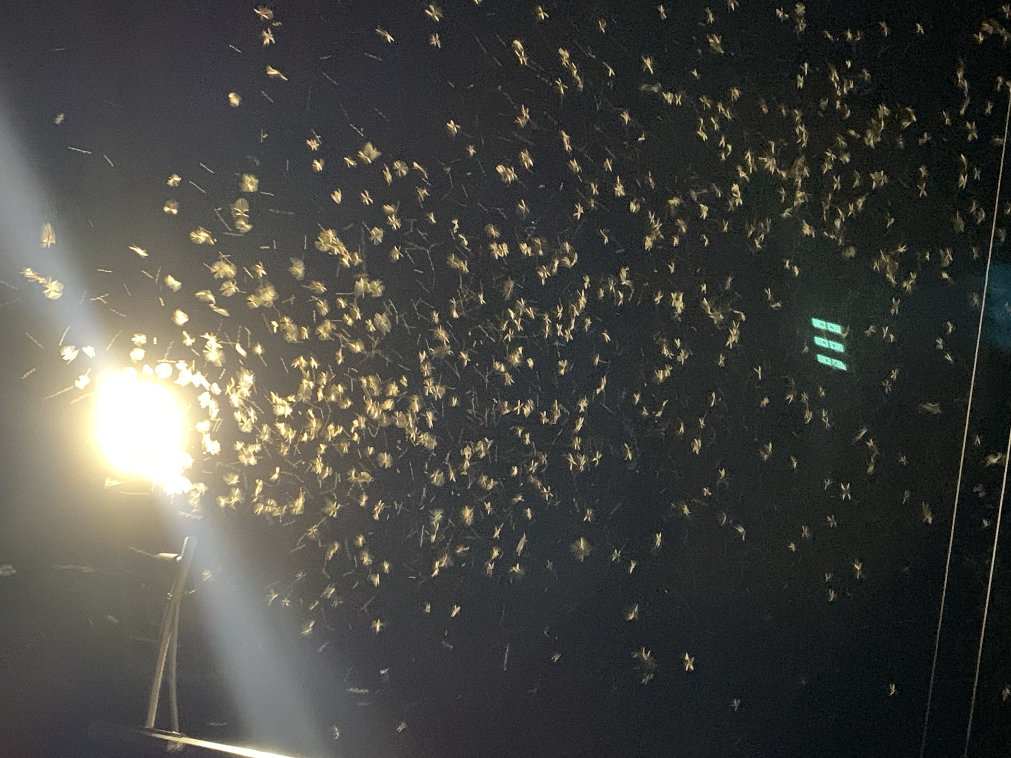 The image depicts a night scene, likely in Kabong, Nigeria, showing a swarm of insects or similar small airborne objects congregating around a bright artificial light source. The light source appears to be a streetlight mounted on a pole, positioned on the left side of the frame. Numerous small, light-colored objects are densely clustered near the light, diminishing in concentration as they move away. The background is dark, possibly the night sky, with a few faint, distant lights visible. The focus is primarily on the insects and their interaction with the artificial light.