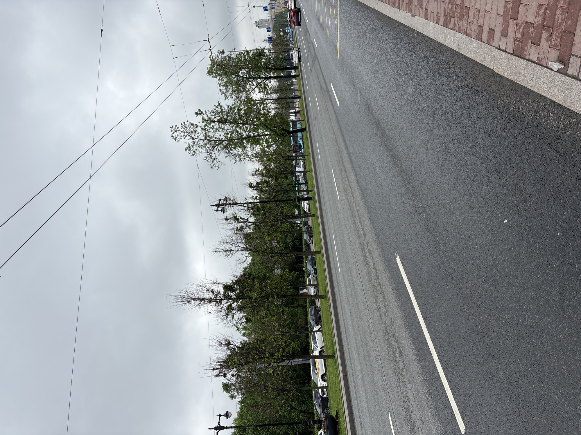 The image shows a street scene in Saint Petersburg, Russia on an overcast day. The camera appears to be positioned on or near the sidewalk, looking down the length of a multi-lane road. The road is asphalt and has white lane markings. To the left of the road is a row of trees, behind which are parked vehicles. Overhead, there are power lines or tram lines. A brick-lined sidewalk is visible to the right of the road. In the distance, blurred buildings and traffic are visible. The overall impression is of a typical urban street view, likely captured after rain due to the wet-looking road surface. There are no visible people.