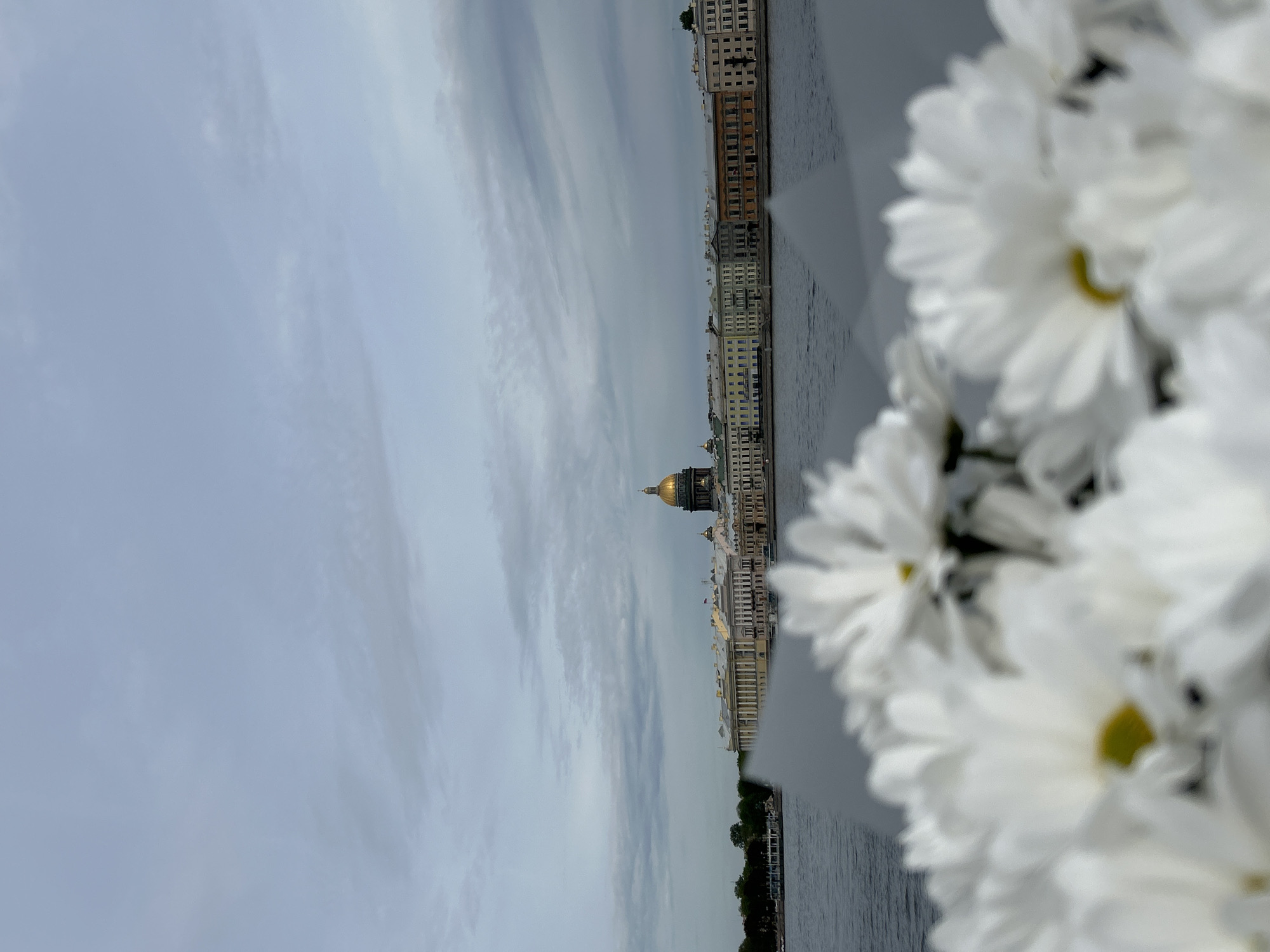 The image shows a cityscape of Saint Petersburg, Russia, with a focus on the golden dome of Saint Isaac's Cathedral. The perspective is slightly askew, with the sky dominating the upper portion of the frame. The Neva River flows parallel to the buildings lining the embankment, which include structures of varying heights and architectural styles, predominantly in light hues.
The foreground features a bouquet of white daisies, their petals slightly blurred, creating a soft frame on the right side of the image. The lighting is soft, with an overcast sky muting the colors. The scene appears still, capturing a moment in the city's daily life, likely observed from a river cruise or a riverside location. No people are visible in the scene.