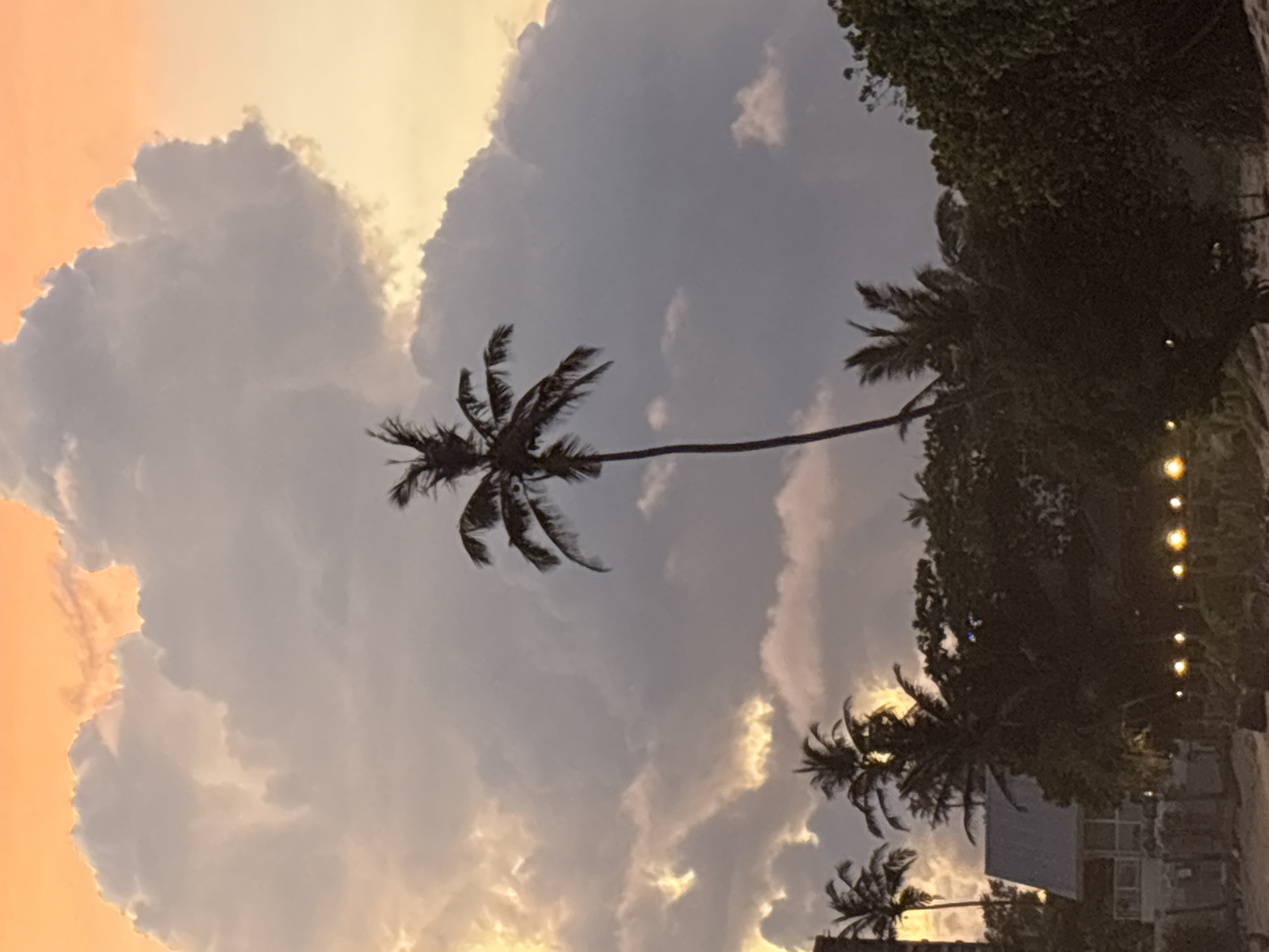 The image depicts a sunset scene in Thalaramba, Sri Lanka, featuring palm trees silhouetted against a dramatic sky. A large, cloud formation dominates the sky with hues of gray and orange, indicating the setting sun. The trees on the right are partially obscured by vegetation and some lights. In the lower part of the image, there are several palm trees. The overall scene conveys a tranquil, tropical ambiance.