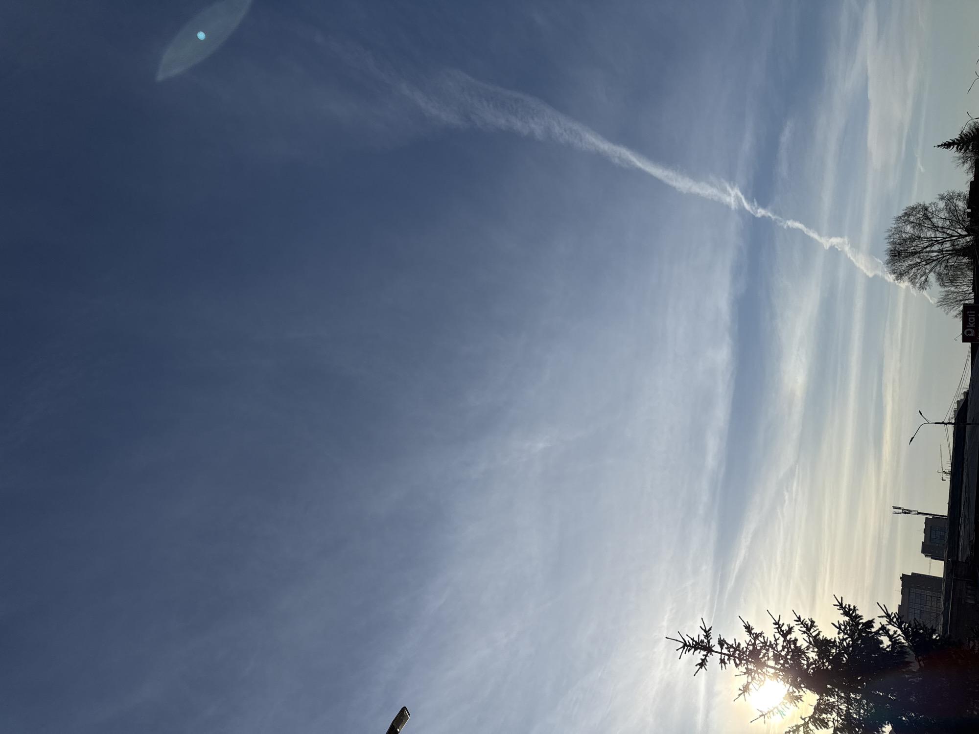 The image depicts a blue sky with wispy clouds and a contrail stretching across the frame. The sun is visible at the bottom of the frame, partially obscured by the silhouette of a tree. Buildings and streetlights are visible in the lower right corner. A sign with the word "Kari" is visible. The image is likely taken in an urban area of Krasnoyarsk, Russia.