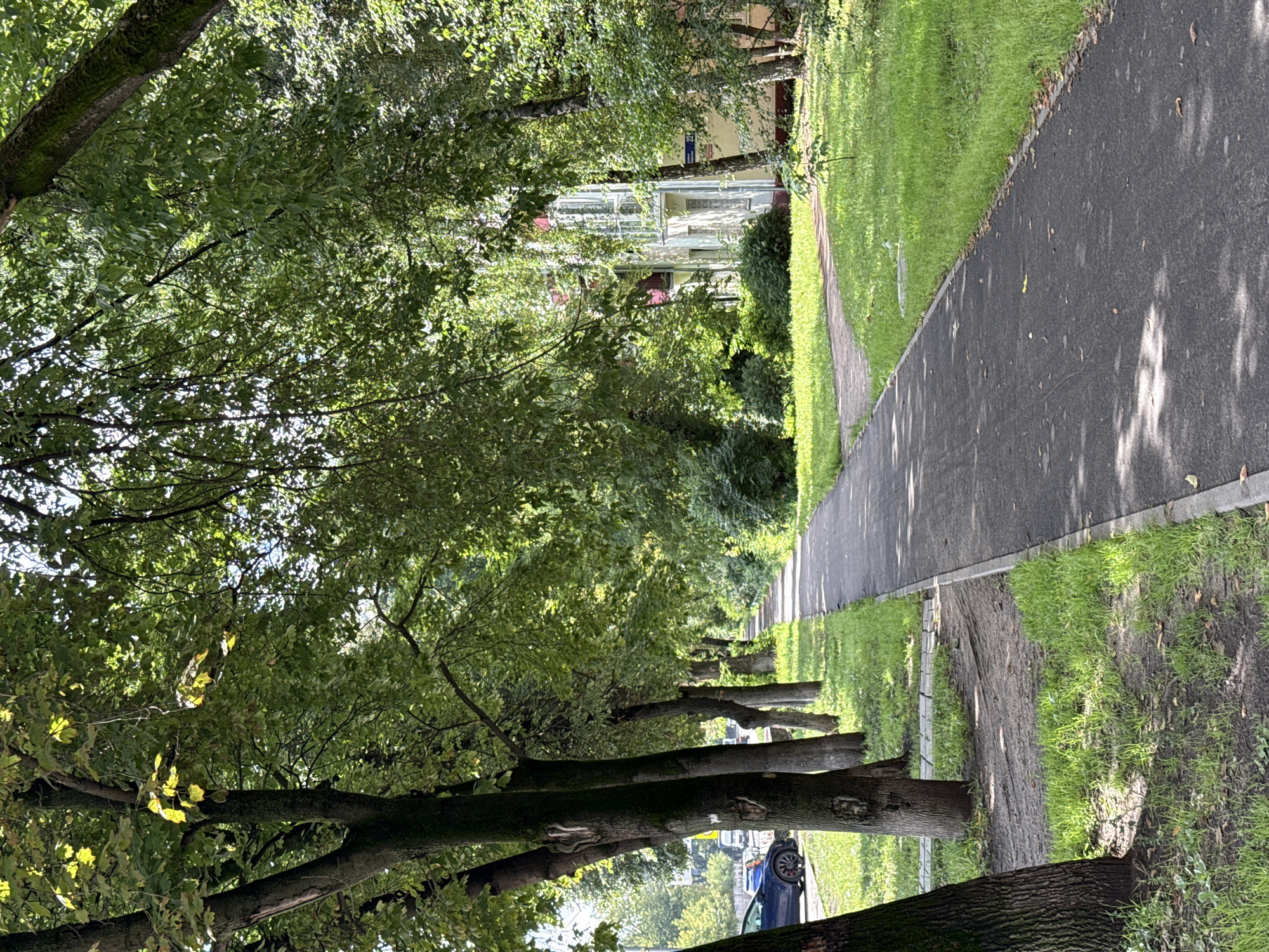 The image shows a paved sidewalk running alongside a tree-lined street in Tomilino, Russia. Lush green grass grows on either side of the sidewalk, and mature trees with full canopies cast dappled shadows on the pavement. In the background, a multi-story apartment building is visible through the foliage. A dark blue car is parked on the left side of the street. The scene appears tranquil and suburban, bathed in sunlight.