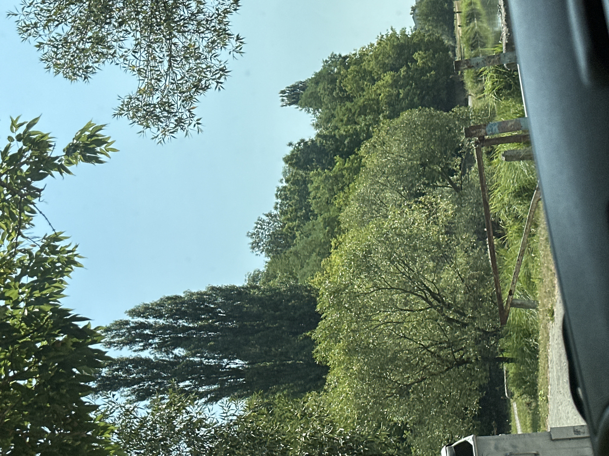 The image depicts a view from inside a vehicle, looking out towards a natural landscape with a body of water. The foreground shows a portion of a dark dashboard. Beyond the windshield, a rusty metal gate with wooden posts stands in front of a dense line of trees and vegetation. Tall, dark trees are prominent in the mid-ground, with lighter green foliage forming a backdrop. The sky is a clear, light blue. In the distance, a still body of water is visible to the right, bordered by grassy banks. The overall scene suggests a rural or park-like setting. This image was captured in Makiv, Ukraine.