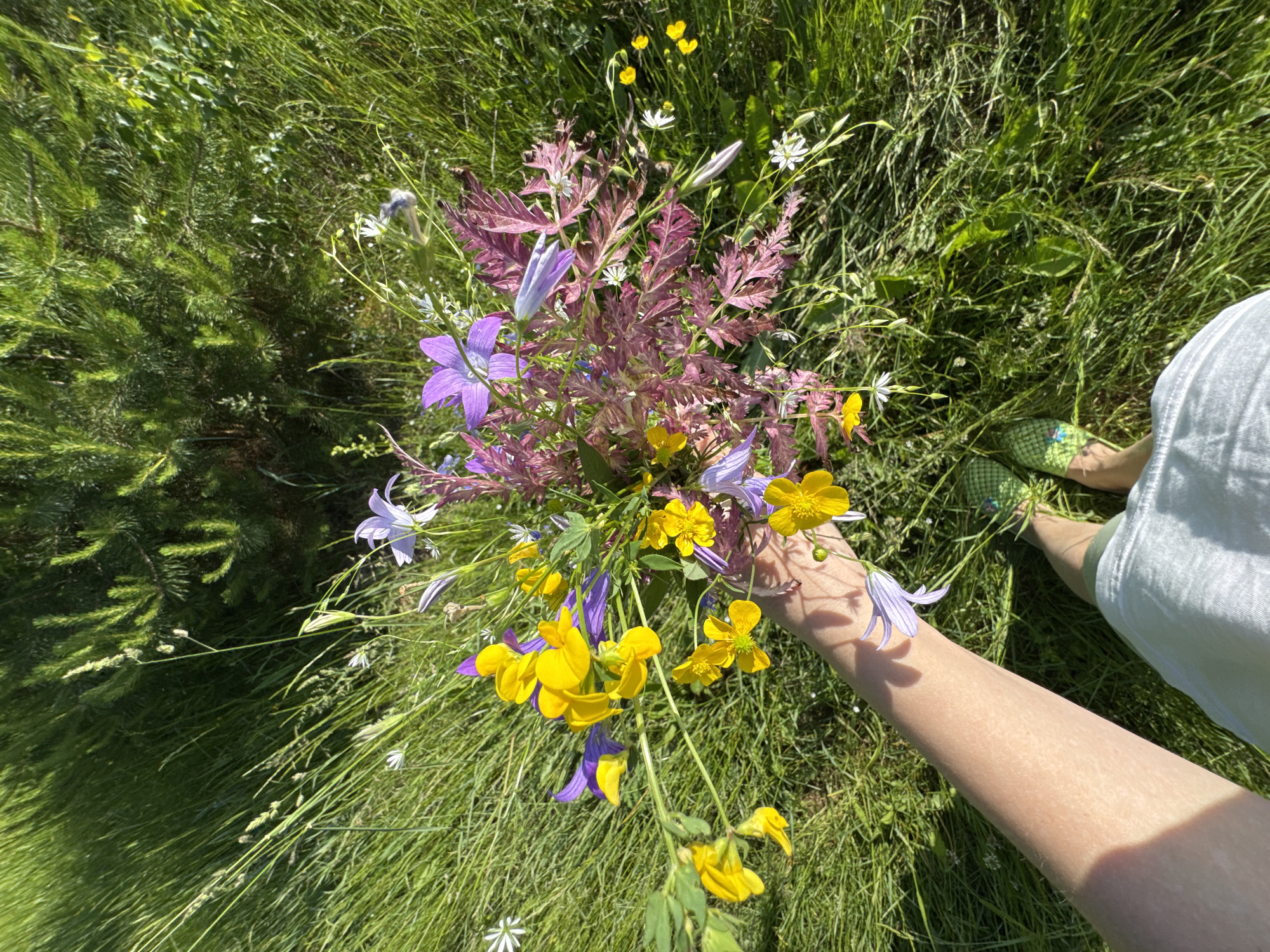 A first-person perspective shot captures a bouquet of wildflowers being held by a hand. The bouquet contains a mix of yellow, purple, and pink flowers with green foliage. The hand, with visible veins, is holding the stems of the flowers. In the background, lush green grass and a conifer tree are visible under bright daylight. The lower part of the image shows the feet of the person, wearing green patterned slip-on shoes, standing on the grass. The overall scene suggests an outdoor setting, possibly a meadow or a forest edge. The location is identified as Vasyahta, Russia.