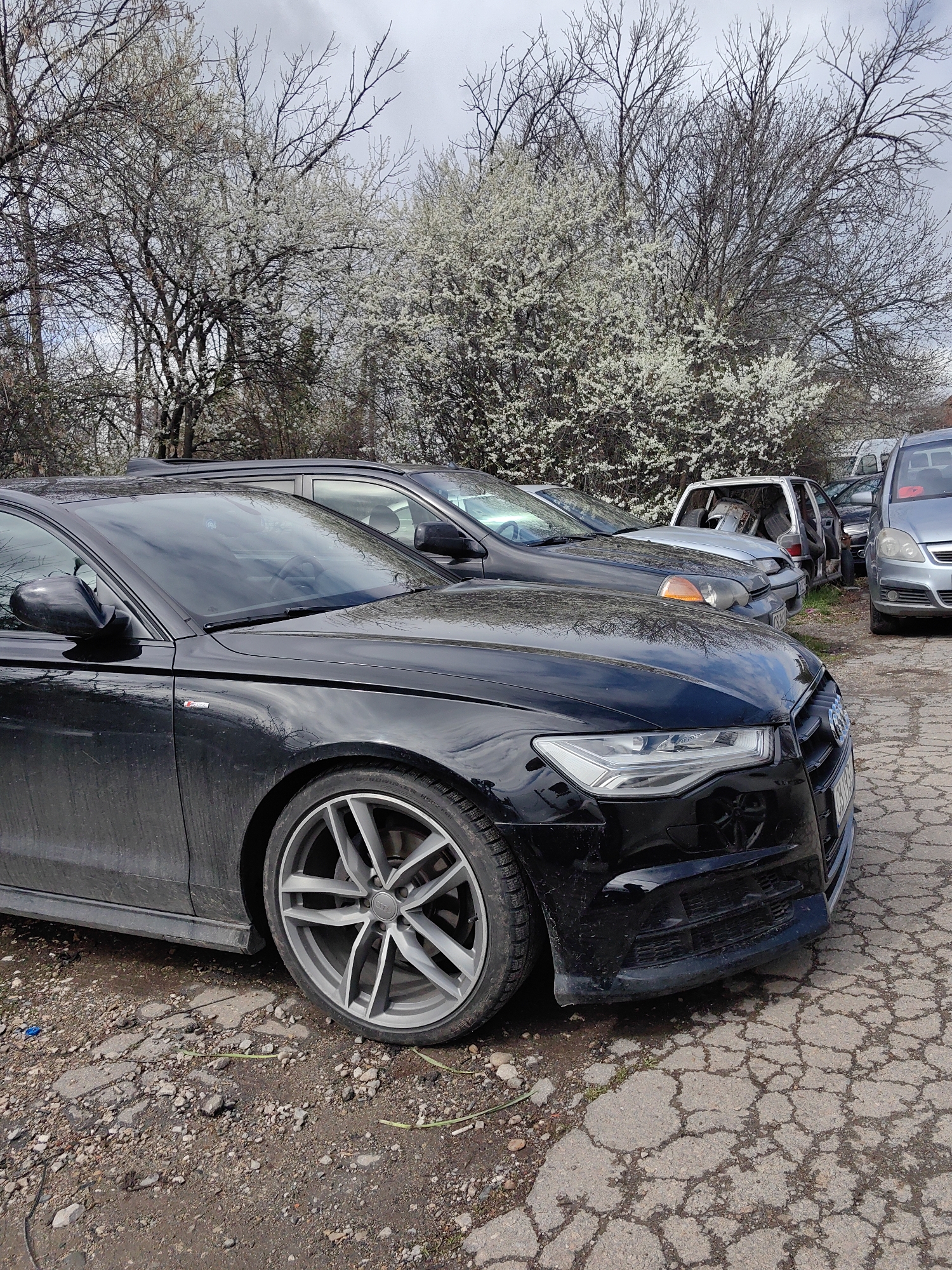 The image shows a black Audi car parked on a cracked asphalt surface. In the background, there are several other cars, some of which appear to be damaged or in disrepair. Trees with white blossoms are visible behind the vehicles, suggesting it's springtime. Given the presence of various car models and the unkempt appearance of the parking area, the location could be an informal or overflow parking area. The image lacks specific indicators to definitively confirm it's in Sofia, Bulgaria, but the general urban environment and vehicle types are consistent with Eastern European cities. Without further context or specific landmarks, pinpointing the exact location in Sofia is not possible.