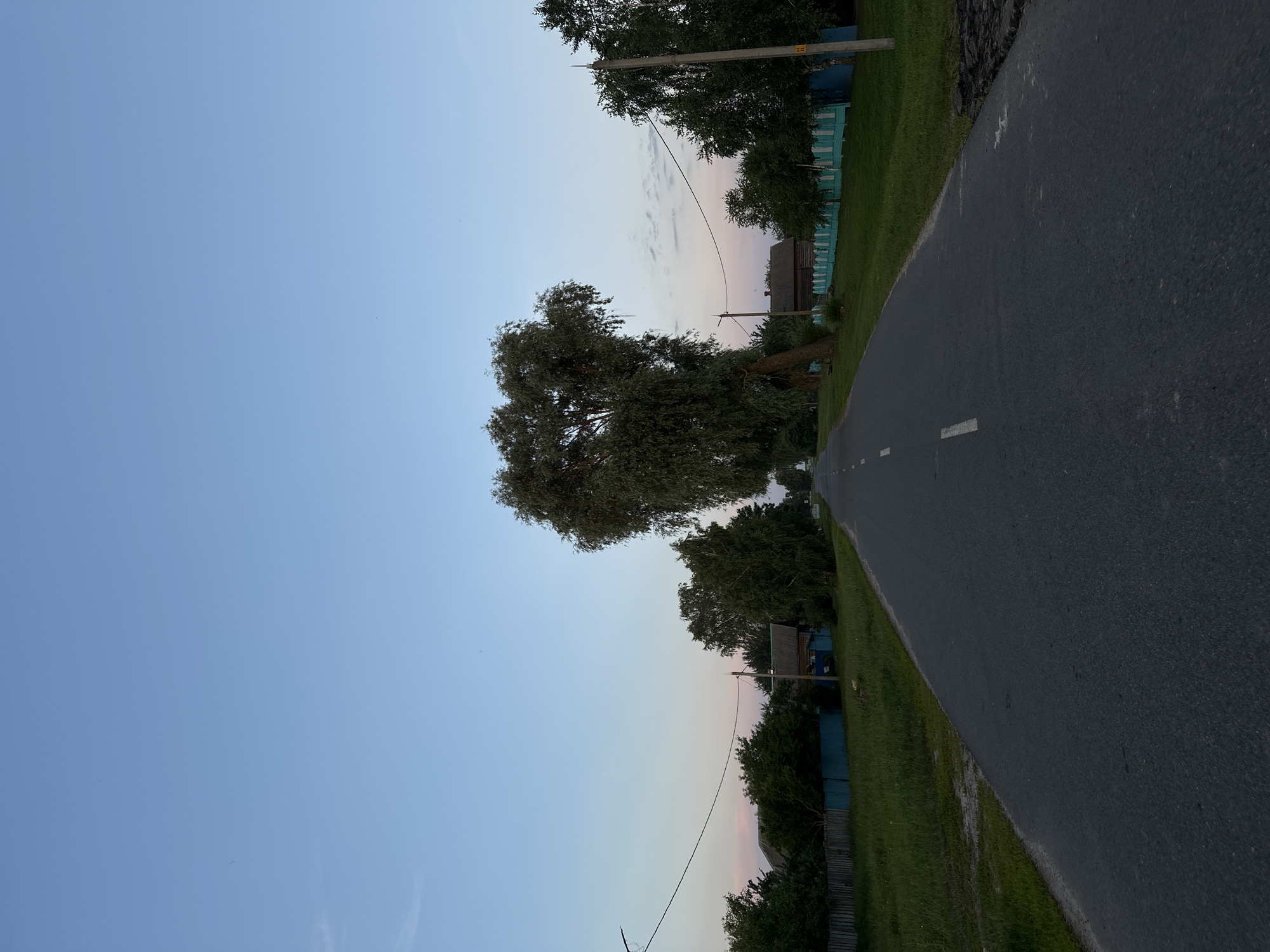 The image depicts a rural road in Буркоўскі сельскі Савет, Belarus, during the twilight hours. The road, paved with asphalt, stretches into the distance, marked by a white line down the center. Flanking the road on both sides are grassy verges and mature trees. On the left side of the road, a wooden fence painted turquoise runs along the edge of a property with a house visible behind it. On the right side, another turquoise fence delineates a similar property, with a wooden house and trees. A large, mature tree with a distinctive, somewhat heart-shaped canopy stands prominently in the middle ground, leaning slightly towards the road. Telephone poles and wires are visible along the roadside. The sky above is a gradient of pale blue, transitioning to a soft pink and white near the horizon, suggesting the end of daylight. No people or animals are present in the scene.