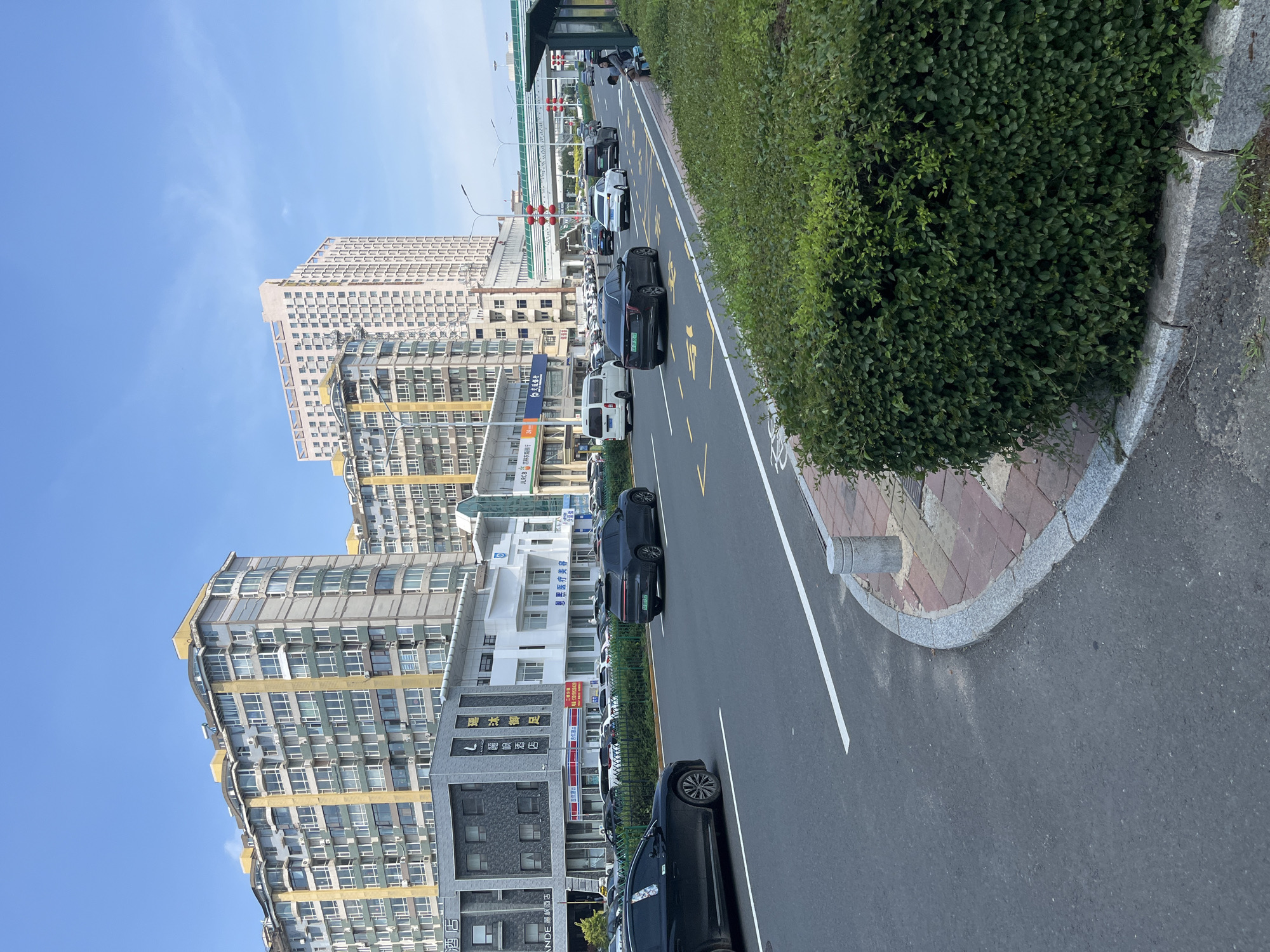 This image captures a street scene in Changchun City, China, under a clear blue sky. The foreground features a paved road with visible lane markings and a gray, curved curb bordering a meticulously manicured green hedge. To the right, a bus stop shelter with yellow accents is partially visible. Several vehicles, including a black sedan in the left lane and a dark SUV in the right lane, are traveling on the road. Further down the street, more cars are in motion, and parked cars line the side of the road.
Dominating the background are multi-story buildings. On the left, several apartment buildings with beige and green facades, featuring numerous windows and balconies, are prominent. A lighter colored building with signage, likely commercial or office space, stands in front of these. In the center and right of the frame, taller, more modern buildings rise, one with a distinctive stepped roofline and a light-colored facade. The overall impression is of an urban environment with a mix of residential and commercial structures along a busy thoroughfare. The presence of traffic lights and overhead pedestrian walkways suggests a well-developed urban infrastructure. A person is seen sitting on a bench at the bus stop on the right side of the frame.