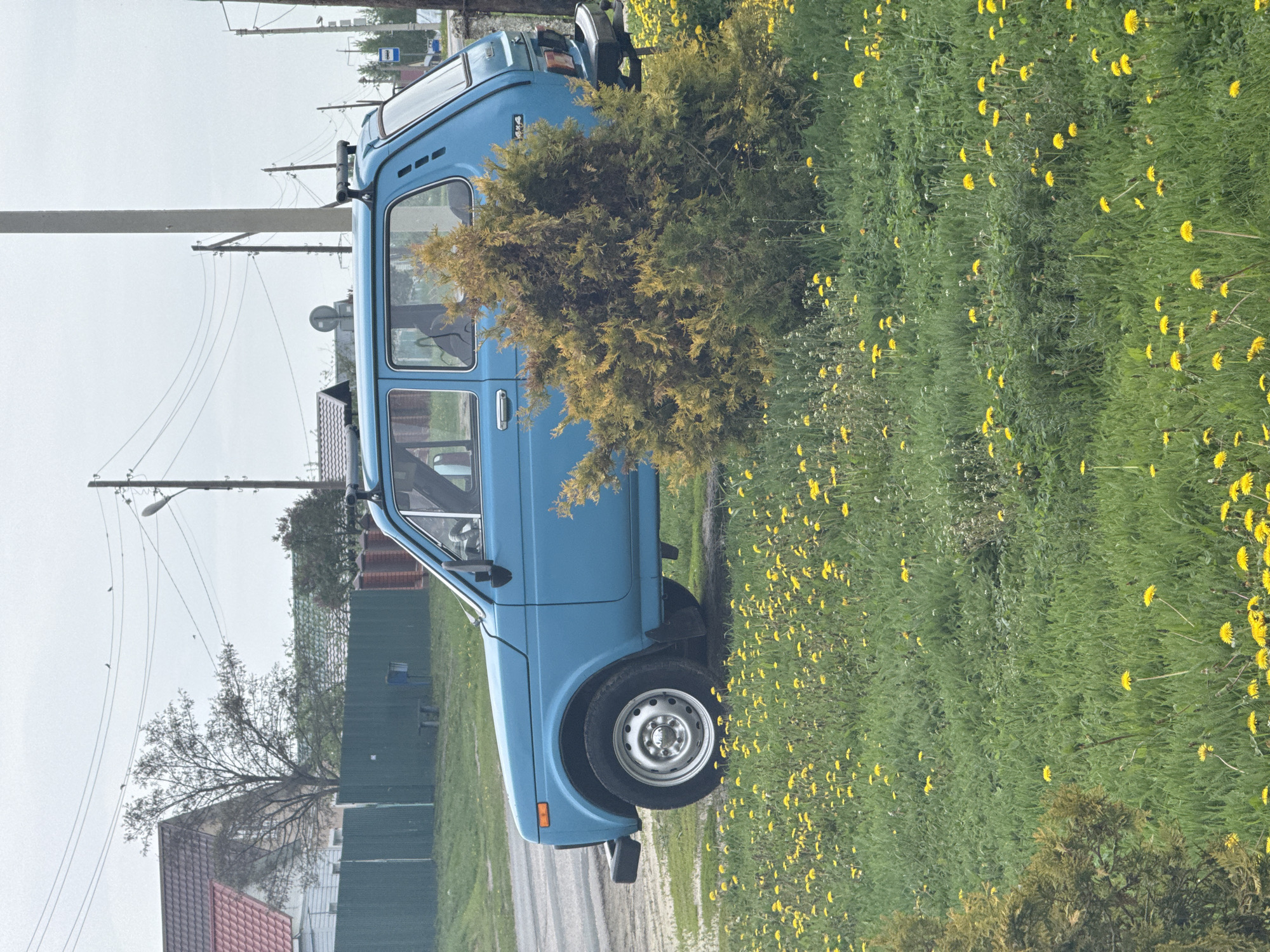The image shows a blue Lada Niva parked on a street with a field of dandelions in Ленино, Russia. A small evergreen tree partially obscures the car's driver-side door. Power lines and wooden poles are visible in the background. A gray fence and residential buildings are also present. The sky appears overcast.