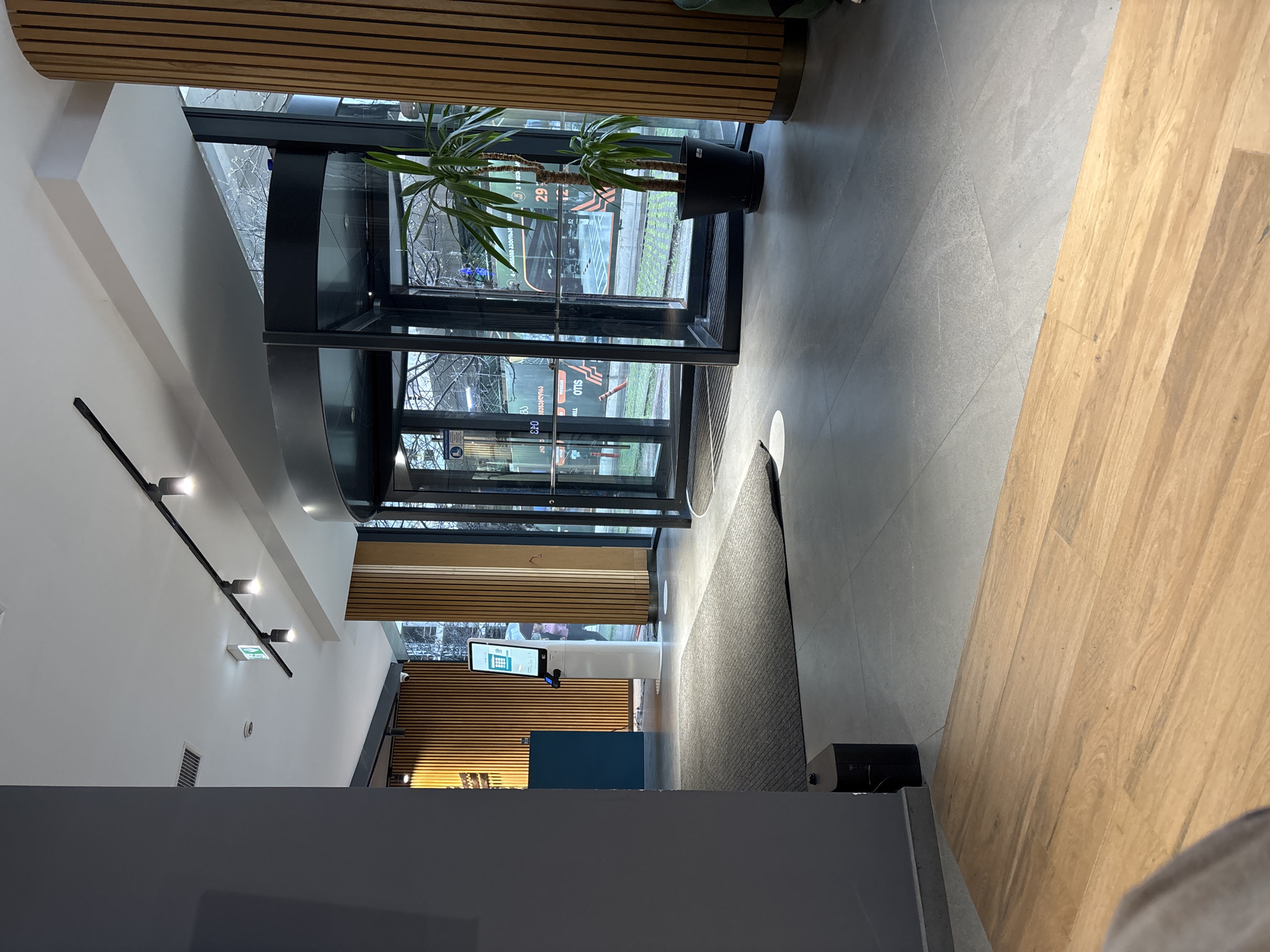 The image shows the interior of what appears to be a bank or corporate office building located in Tbilisi, Georgia, as evidenced by the Georgian language signage on the exterior of the revolving door. A large yucca plant sits just inside the entrance. To the left, a reception area with a blue fronted desk and a self-service kiosk are visible. The flooring transitions from a light grey stone tile to a light wood plank. The lighting is modern with track lighting in the main reception area. A grey carpet runner lines the entry area. The overall scene is clean and modern in design. The photo is taken from a higher vantage point.