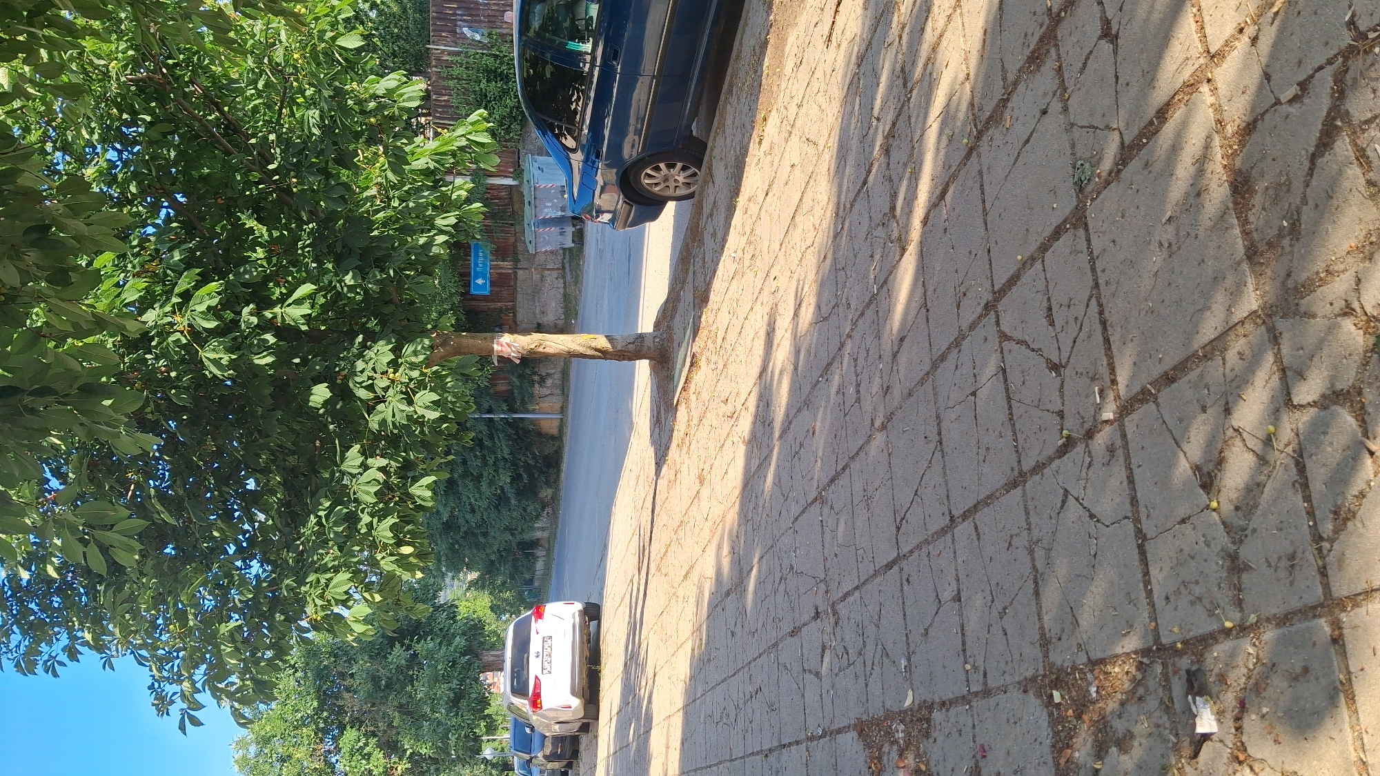 This image presents a static outdoor scene in Gotse Delchev, Bulgaria, captured on a clear day with a bright blue sky. Strong, low-angle sunlight casts long, distinct shadows from trees and a vehicle onto the foreground. The immediate foreground consists of a concrete sidewalk paved with square slabs, many exhibiting cracks and areas of deterioration, with scattered dirt and small debris.
A prominent tree with dense green foliage, likely a horse chestnut, occupies the central and upper-left portions of the frame. Its trunk, wrapped with red and white fabric, is visible in the lower-mid right, casting significant shadows across the sidewalk. Adjacent to the sidewalk runs a paved asphalt road.
Two vehicles are parked on the road:
1. A white Kia SUV, possibly a Sportage, is parked on the left side of the road, facing away from the viewer. Its rear license plate, partially visible, displays "PB 6537 CA," indicating registration in Plovdiv Province, Bulgaria.
2. A dark blue sedan, appearing to be a Peugeot 406, is parked on the right side of the road, next to the sidewalk, with only its rear-right section visible.
In the mid-background, a blue directional sign featuring a left-pointing arrow and the Cyrillic text "Петрич" (Petrich) is mounted, confirming the Bulgarian location. Two light-colored waste bins are visible behind the blue sedan, positioned near a fence. The background consists of dense green foliage and trees. No individuals are present in the image, and no actions or interactions are depicted.