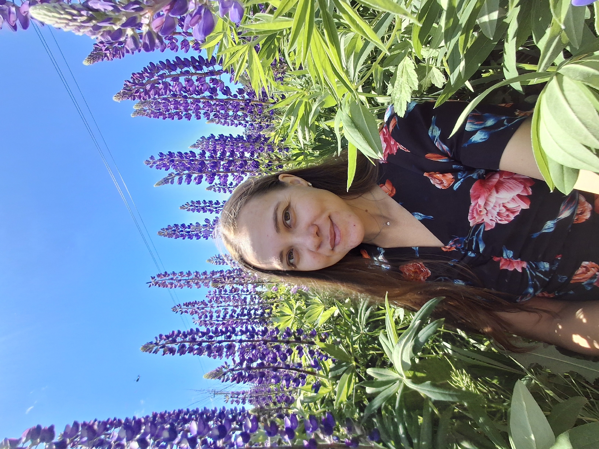 A woman is taking a selfie in a field of purple lupine flowers under a bright blue sky in Malyi Bukor, Russia. The woman has long, brown hair and is wearing a dark floral-patterned dress with a v-neck and short sleeves. She is smiling and looking at the camera. Tall stalks of purple lupine flowers and green leaves surround her, with some of the flowers in the foreground blurring slightly. In the background, the sky is clear, with a few thin power lines visible. The lighting suggests it is a sunny day.