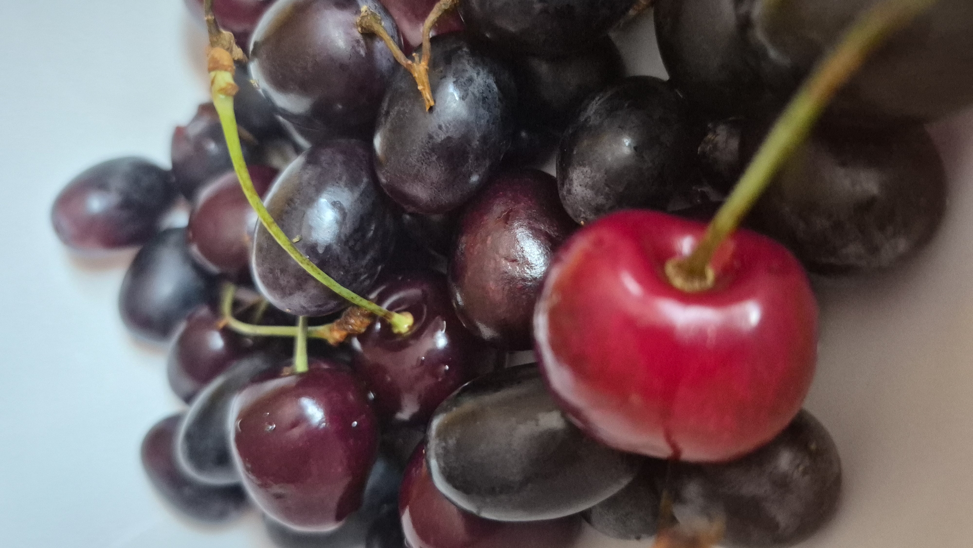 A close-up, overhead shot captures a bowl filled with dark purple grapes and a single bright red cherry with a green stem. The fruits are clustered together, with some of the grapes appearing slightly oval and others more round. The cherry, positioned in the foreground, is vividly red and has a glossy sheen. The background is a plain white surface, likely the inside of the bowl. The lighting is soft, casting subtle shadows on the fruits. The image is focused on the textures and colors of the produce. There is no indication of location in Krauja, Latvia.