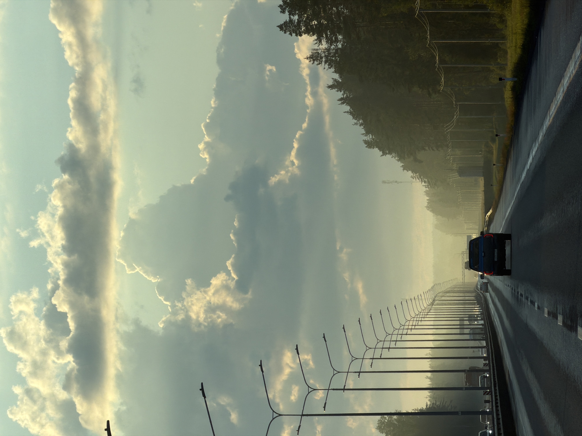 A highway passes through a forest on a cloudy day, with cars driving on the road and streetlights lining the highway. The image was taken in Brilliant, Russia.