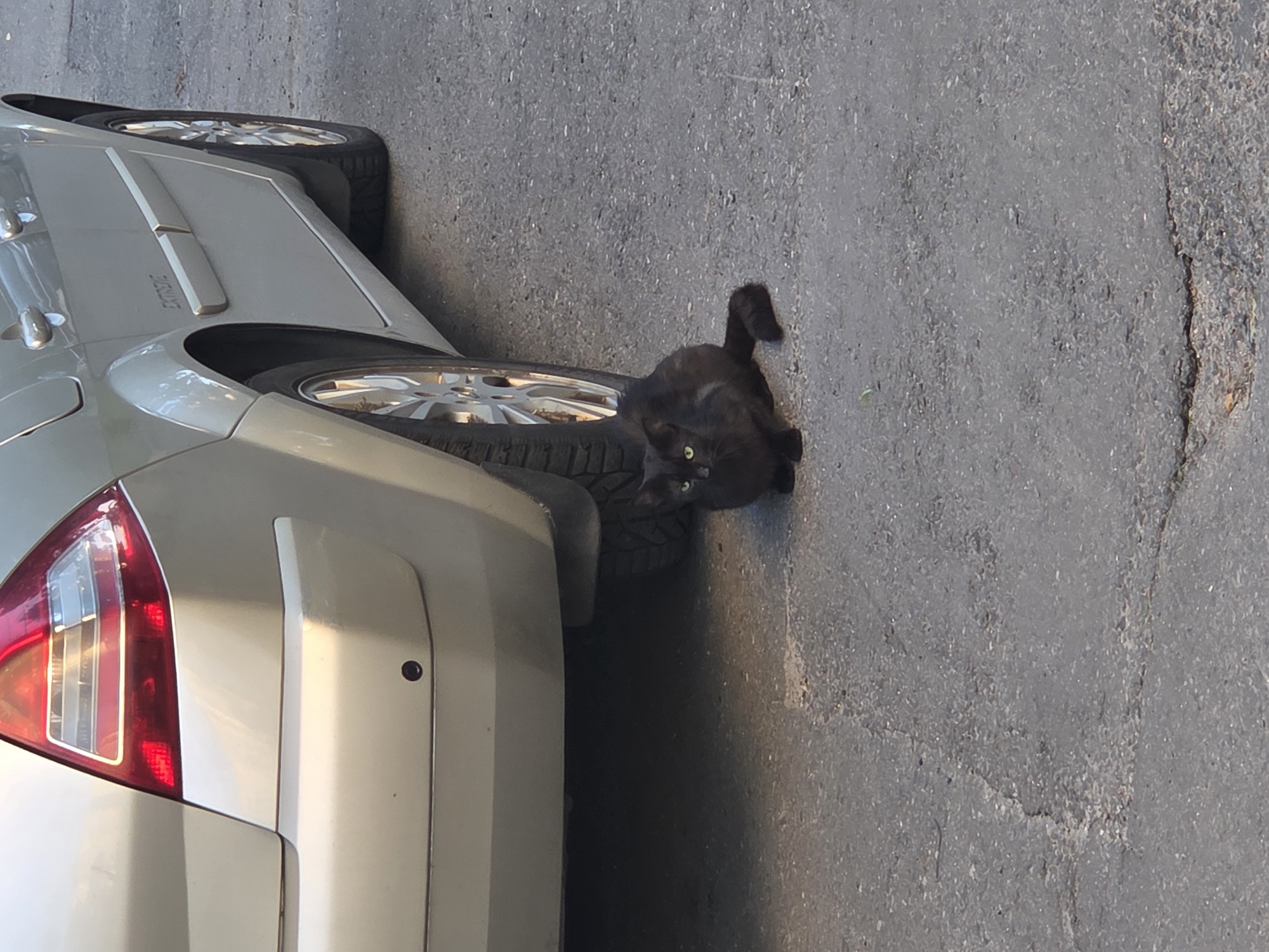 A black cat with green eyes sits on an asphalt surface, partially obscured by the shadow of a light-colored car. The cat is positioned to the right of the car's rear tire, facing forward. The car appears to be parked on a street, with the rear bumper and a portion of the passenger side visible. The asphalt is cracked and worn. The environment suggests an urban setting, potentially a street in Minsk, Belarus, given the car's features and the overall aesthetic.
