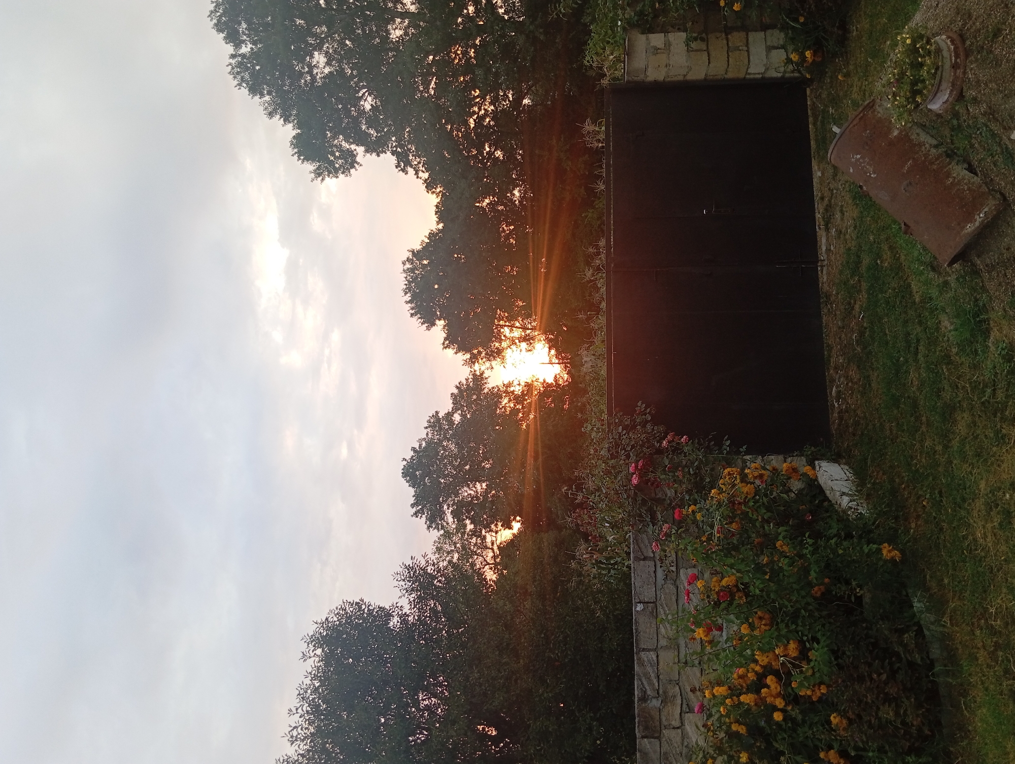 The image depicts a serene sunset scene in Şirvanlı, Azerbaijan, with the sun's rays piercing through a cluster of trees. In the foreground, a rustic brick wall borders a vibrant garden filled with yellow and pink flowers, leading to a dark, imposing gate. The lawn in front of the gate is overgrown, with a discarded rusty metal cylinder and a potted plant adding to the cluttered yet charming aesthetic. The sky is overcast with soft clouds, diffusing the sunlight into a warm, golden glow. The overall atmosphere is one of peacefulness and natural beauty, characteristic of a rural setting in Azerbaijan.