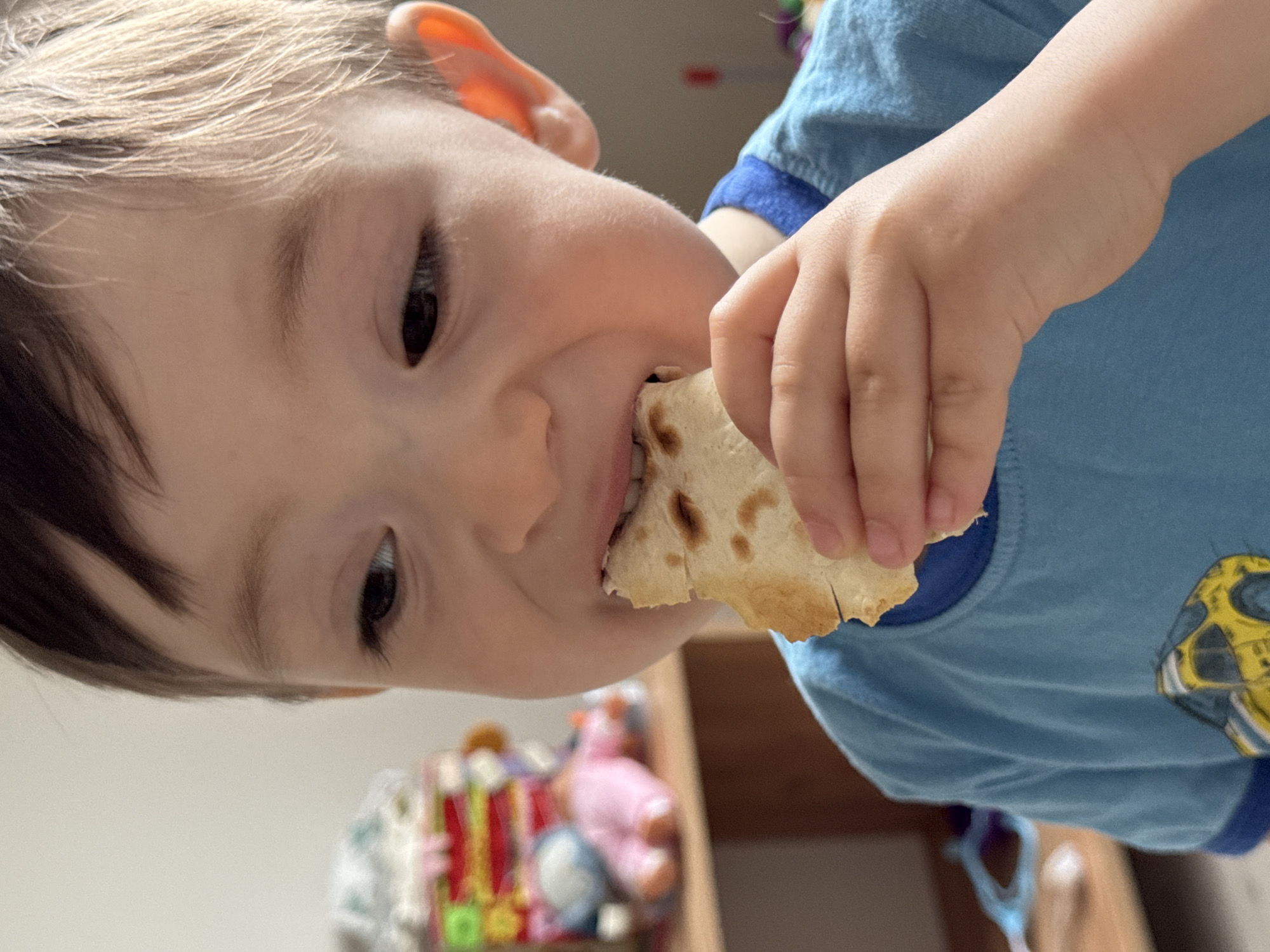 A close-up vertical photograph features a young child, approximately 2-4 years old, with fair skin and short brown hair, actively eating. The child's head and upper torso are visible, positioned slightly right of center. The child's right eye, which is dark, is visible, while the left eye is partially obscured. The child is looking downwards and to the left.
The child holds an irregularly shaped piece of light brown flatbread with their right hand, bringing it to their mouth. The bread shows darker, toasted spots and is partially bitten into, with some white filling or spread faintly visible along the bitten edge.
The child wears a light blue short-sleeved t-shirt with a darker blue ribbed collar and a partial yellow cartoon car graphic visible on the lower front.
The background is intentionally out of focus, indicating an indoor setting. A light-colored, possibly off-white or pale gray, wall occupies the upper left quadrant. Below this, a light wooden surface, possibly a shelf or table, is present, cluttered with various blurred objects. These objects include colorful children's toys, such as stacked items in red, green, and yellow, and two plush figures—one light blue and one pink, lying down. The lighting appears soft and even.
The image contains no discernible elements or metadata that could confirm or indicate its location in the city of Izhevsk, Russia, or any specific geographic region.