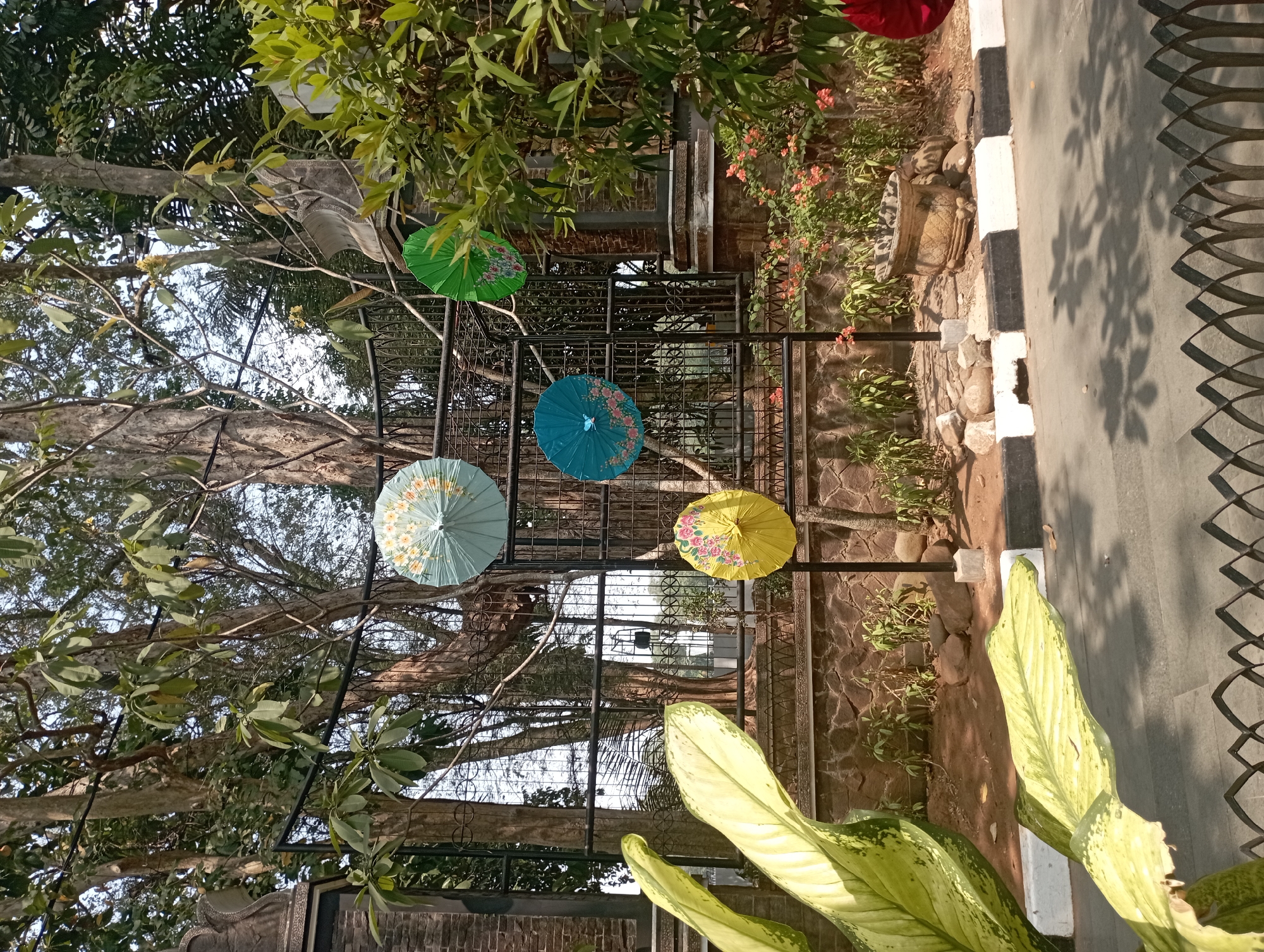 The image depicts an outdoor scene in Purwakarta, Indonesia. Several decorative paper umbrellas are suspended from a black metal fence. These umbrellas are in various colors, including light blue with floral patterns, turquoise with pink floral accents, and yellow with floral designs. The background features large trees with textured bark and dense foliage, suggesting a park or garden setting. Behind the fence, a stone wall is visible, and beyond that, more trees and a glimpse of a building with brickwork. In the foreground, large, pale green leaves of a tropical plant partially obscure the view. A paved walkway or road runs in front of the fence, marked by a black and white striped curb. The ground is covered with dirt and scattered rocks. The overall impression is one of an outdoor decorative space, possibly a public area or a garden within a facility.