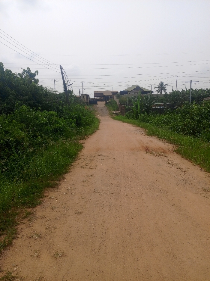 The image captures an unpaved, reddish-brown dirt road ascending gently into the distance in Magboro, Nigeria. The road surface exhibits minor indentations and sparsely distributed green vegetation. Dense green foliage, primarily bushes and broad-leaved plants, flanks both sides of the road, extending into the midground. On the left, a heavily wired, dark utility pole leans significantly to the right, partially obscured by overgrowth. Multiple overhead power lines traverse the sky from left to right. In the background, several buildings with varied roof structures are visible, including one with a dark, possibly pitched roof. A prominent palm tree stands on the right side of the background, amidst additional green vegetation. A light-colored vehicle is partially discernible behind the right-side vegetation in the distance. The sky is uniformly overcast and light gray. No individuals or active interactions are present in the scene.