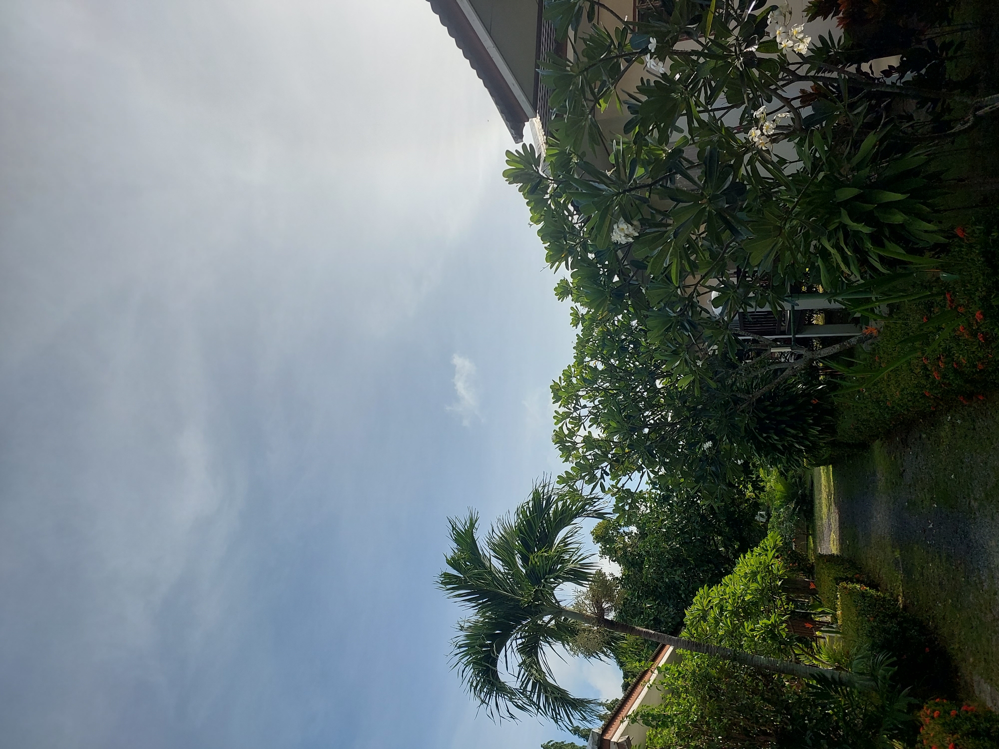 The image depicts a pathway through a lush garden in Baan Mae Nam, Thailand. The path, covered in dark gravel, is flanked by neatly trimmed hedges and tropical foliage. To the left, a tall palm tree stands prominently, while a white-tiled roof of a building peeks out from behind the greenery. On the right, a building with a tiled roof is partially visible, with a frangipani tree in bloom in the foreground, bearing white flowers. The sky above is a soft blue with wispy clouds, and the sun is a bright, diffused light source towards the upper right of the frame, indicating daytime. The overall scene suggests a peaceful and well-maintained outdoor area. There are no people or animals visible in the image.