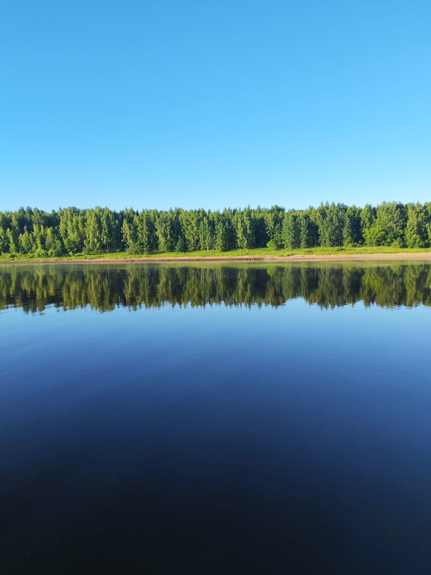 The image depicts a serene natural landscape under a clear blue sky. In the background, a dense line of lush green trees forms a natural barrier along the horizon. In front of the trees, a narrow strip of sandy shore is visible. The foreground is dominated by a calm body of water, likely a river, which perfectly mirrors the trees and sky, creating a symmetrical reflection. The water is dark blue, reflecting the clear sky. The scene appears to be set in a natural, undeveloped area, consistent with the rural or wilderness setting of Bol'shie Mkhi, Russia. No people or man-made objects are present in the image.