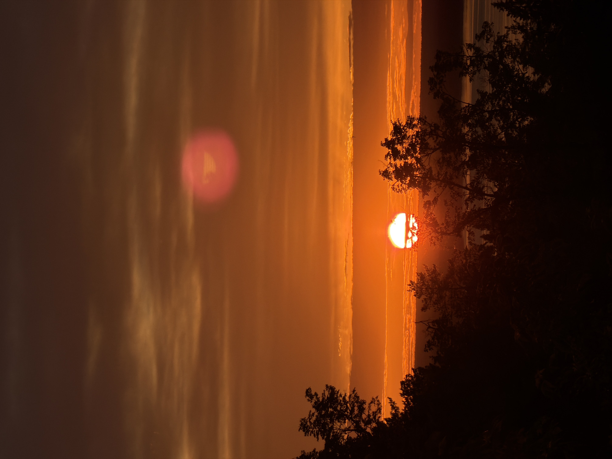 A vertical shot shows a sunset with a sun that is partially obscured by trees. The light from the sun is reflected in the clouds and the sky. The scene is orange. There are trees in the foreground. The location is Izhevsk, Russia.