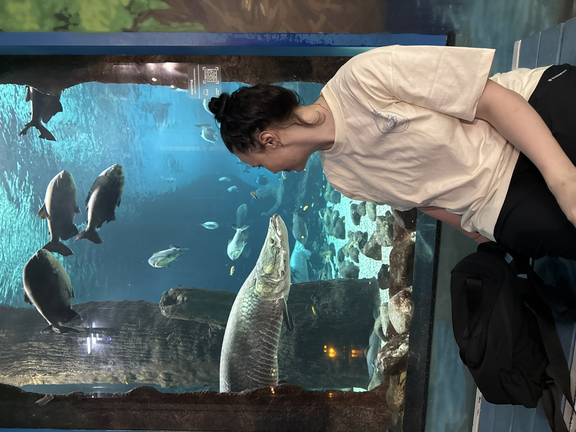 A young woman with dark hair in a bun gazes into an aquarium. She wears a light beige t-shirt and black pants. A black backpack rests near her on what appears to be a blue ledge. Inside the aquarium are various fish, including silver pacu and a large arapaima. The background of the aquarium includes rocks and other aquatic plants. The location is likely the Moscow Oceanarium in Russia.