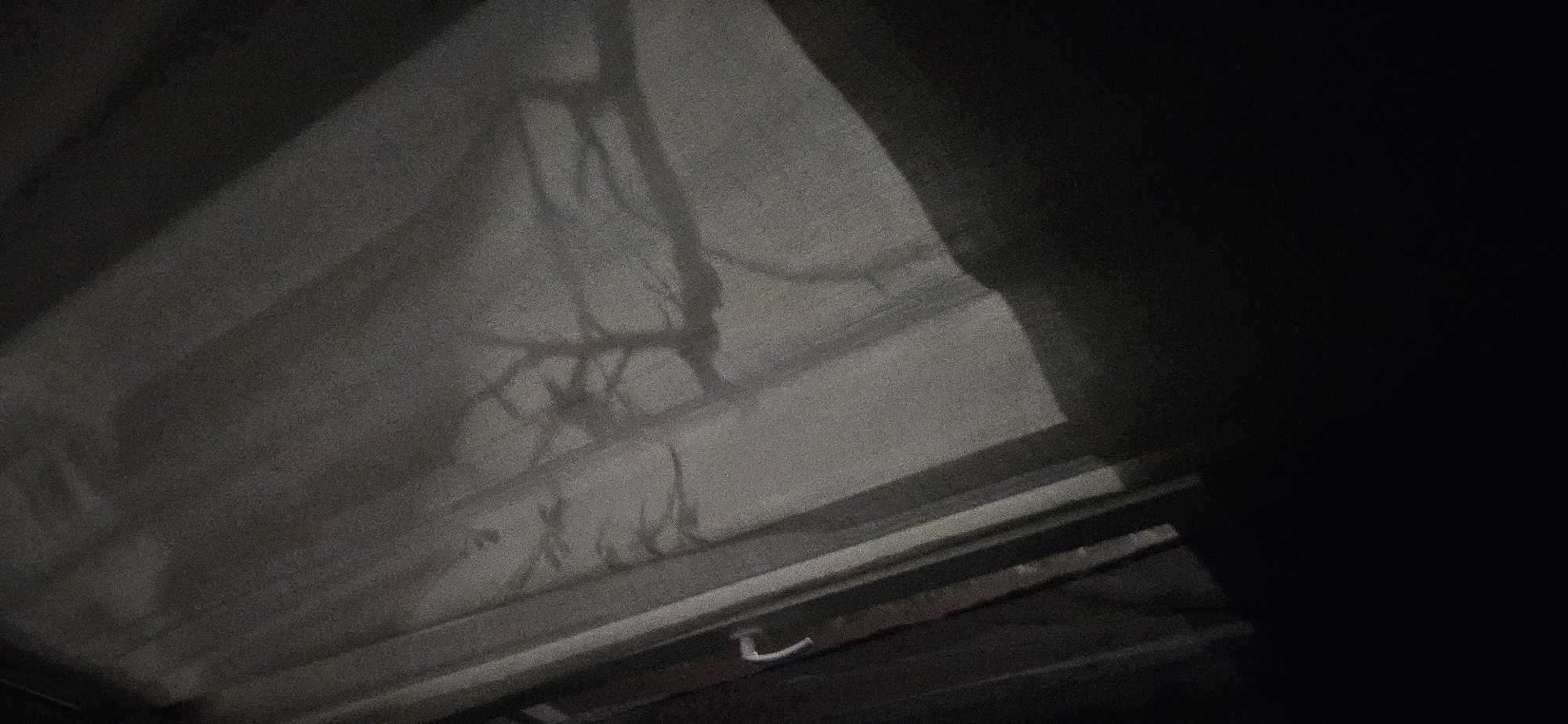 The image shows a shadowy interior view, likely a rooftop or attic space. The primary element is a large, off-white or light grey fabric stretched taut, possibly a canvas or tarp covering a structural framework of wooden beams and metal bars. On the fabric, there are distorted shadows that resemble foliage or branches. A hook-like metal fixture is visible on one of the beams. The scene has a dark and enclosed atmosphere, with a large area of impenetrable blackness on the right side. This appears to be a section of Plovdiv that is either unlit or not exposed to the camera.