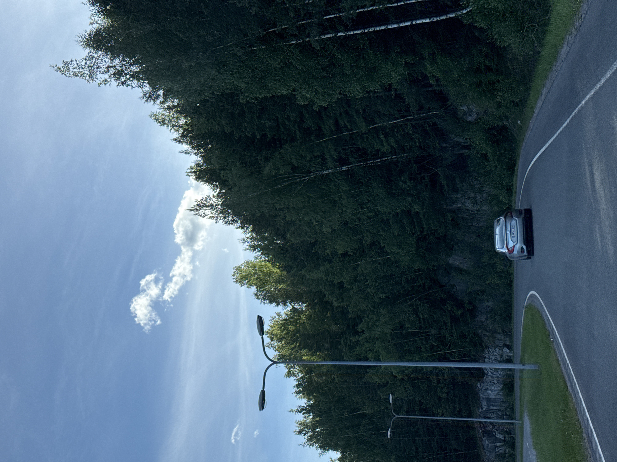 A silver Honda Civic is driving on a two-lane asphalt road that curves to the right. The road is bordered by a grassy shoulder and a dense forest of trees, predominantly birch and spruce. The trees are thick and reach up a steep incline, with some light-colored birch trunks visible among the darker foliage. In the background, the sky is a light blue with wispy white clouds. Two streetlights with dual lamps are positioned on the left side of the road, one closer and taller than the other. The scene appears to be a natural setting, possibly on the outskirts of a city, given the presence of streetlights and a paved road. The lighting suggests it is daytime, likely late afternoon or early evening due to the soft sunlight.