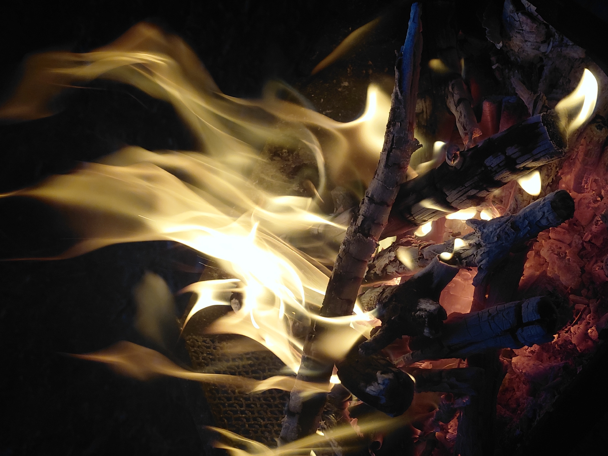 This is a close-up, low-angle, still shot of a campfire in the city of Shamraivka, Ukraine. The image is dominated by bright, yellow and orange flames licking upwards against a dark background. Partially burned logs and embers glow with a reddish-orange hue at the bottom of the frame. The texture of the wood is rough and charred, with some pieces appearing more intact than others. The fire appears to be contained within a fire pit, hinted at by a dark, textured surface visible behind some of the flames, possibly a metal grate or screen. There are no people visible in the image. The scene is one of natural combustion and the visual elements are focused on the dynamic movement of the flames and the textural details of the burning wood.