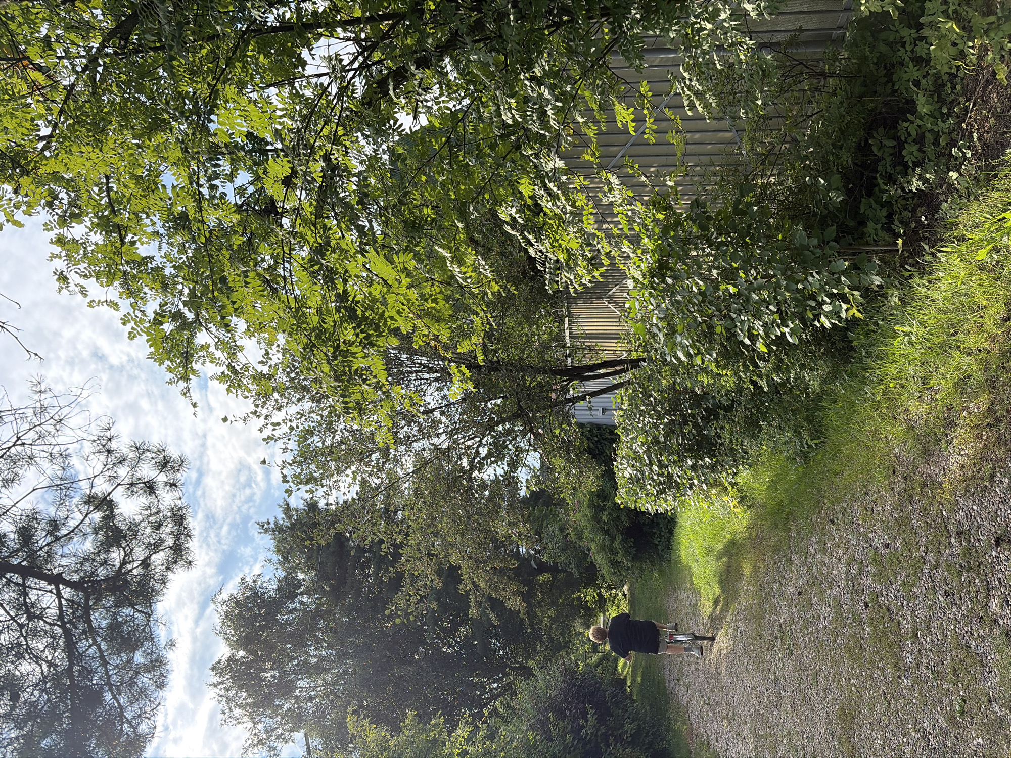The image depicts a person riding a bicycle on a gravel path. The path is bordered by lush green foliage and trees. A corrugated metal fence runs along the right side of the path, partially obscured by vegetation. In the background, more trees and the sky with scattered clouds are visible. The overall setting suggests a rural or suburban area with natural elements. The location is identified as Электротехник Снт, Russia.