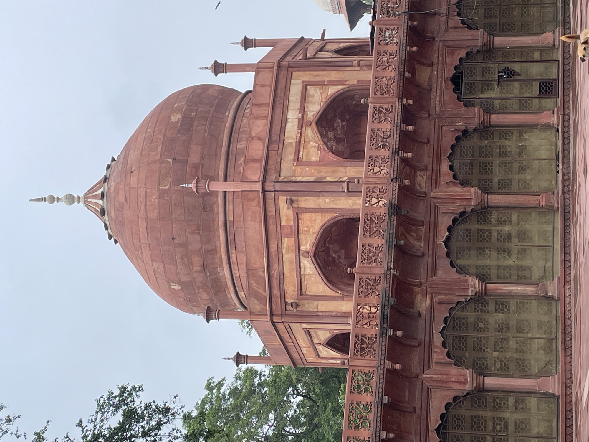 The image captures the exterior of the Itmad-ud-Daulah's Tomb in Agra, India, a Mughal mausoleum often referred to as the "Jewel Box" or the "Taj Mahal's Draft." The tomb is constructed primarily of red sandstone, with intricate marble inlay work not visible in this particular view.
The central focus is the octagonal structure of the tomb, topped by a large, ribbed red sandstone dome. The dome is adorned with a decorative finial. Above the octagonal base, there is a projecting balcony or walkway with ornate railings and carved screens. This level features arched niches, each containing a smaller arched opening. The entire structure displays the characteristic Mughal architectural style.
Below the balcony, a lower level of the building is visible, featuring a series of arches that frame what appear to be latticed or gridded windows, possibly made of metal or wood. These are also framed by red sandstone columns and decorative arches. The ground in front of the building is paved with red stone.
To the left of the tomb, lush green foliage from trees is visible against a pale, overcast sky. The sky is largely featureless, with a few faint dark specks that could be birds.
In the foreground, a light brown dog with a lighter-colored chest and muzzle is partially visible, lying down on the red paved ground. It is looking towards the right side of the frame. The overall impression is one of an architectural monument in a garden setting, under an overcast sky.