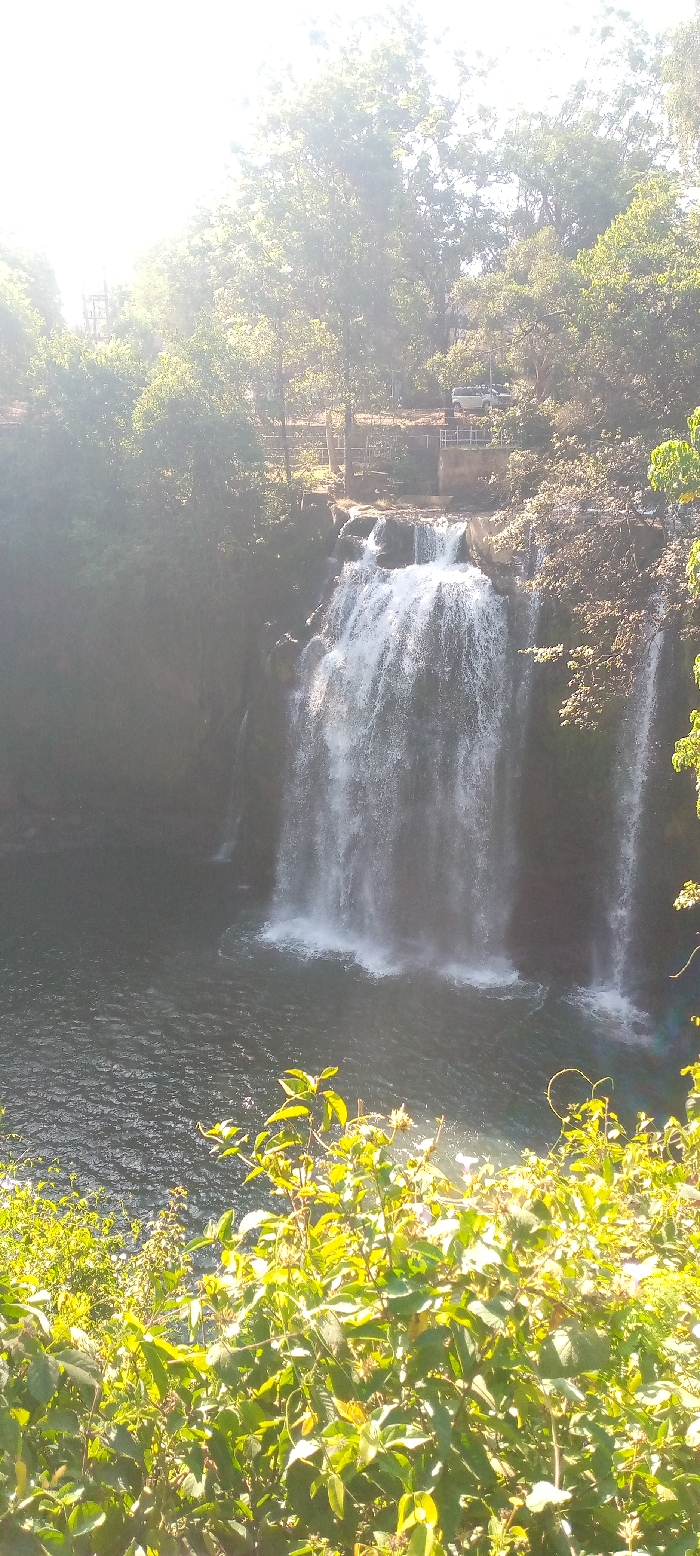 A waterfall cascades into a dark pool surrounded by lush greenery. Dense trees line the top edge of the falls, with a small structure visible amidst the foliage. The scene is bathed in sunlight, creating highlights on the water's surface and illuminating the foliage in the foreground. A serene, natural landscape is captured.