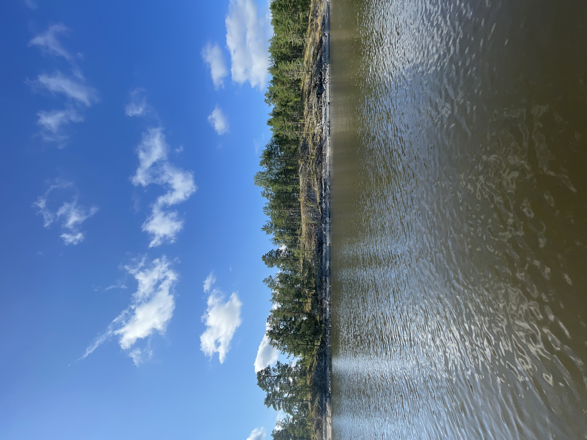 A vertical, eye-level shot shows a body of water in the foreground and a tree-lined rocky island in the background, under a bright blue sky dotted with fluffy white clouds. The water has small ripples on its surface, and the sunlight creates a shimmering reflection. The island is covered with a dense forest of tall, green coniferous trees, with rocky outcroppings visible along its shoreline. The sky is a vibrant blue, with scattered cumulus clouds casting shadows on the landscape. This image captures a serene natural scene, likely a lake or river in a remote area. The location of Berozovo, Russia, is not visually evident from the image itself; it's an external piece of information.