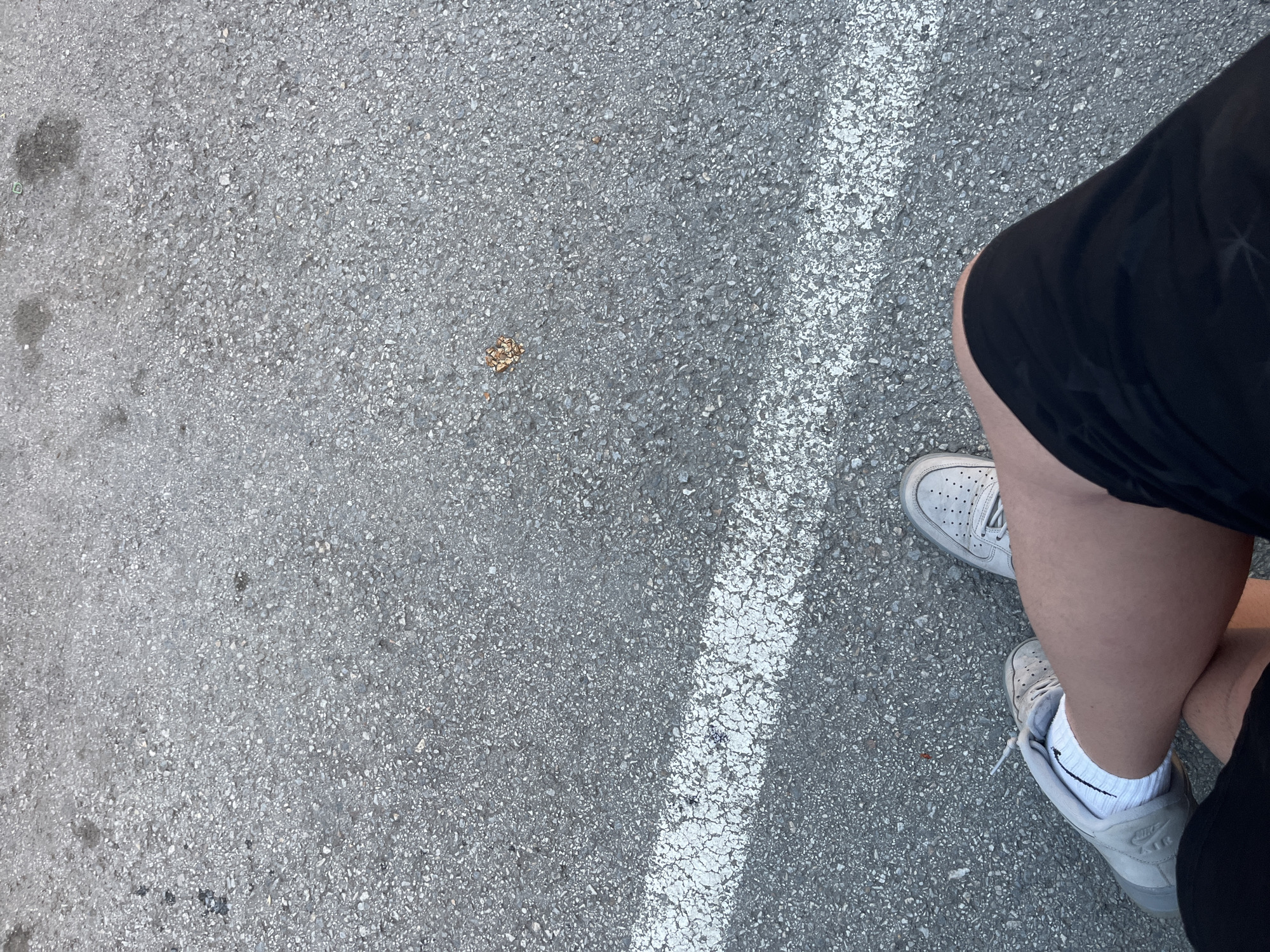 The image shows a first-person perspective of someone sitting on asphalt, likely in a parking lot or on a sidewalk. A white line is visible, marking a boundary on the asphalt. The person is wearing light-colored sneakers and dark shorts. There is a small cluster of dried leaves on the asphalt to the upper right of the image. The scene is outdoors, with a grey, textured asphalt ground surface. No specific landmarks or identifiable features of Plovdiv, Bulgaria are visible in this image.