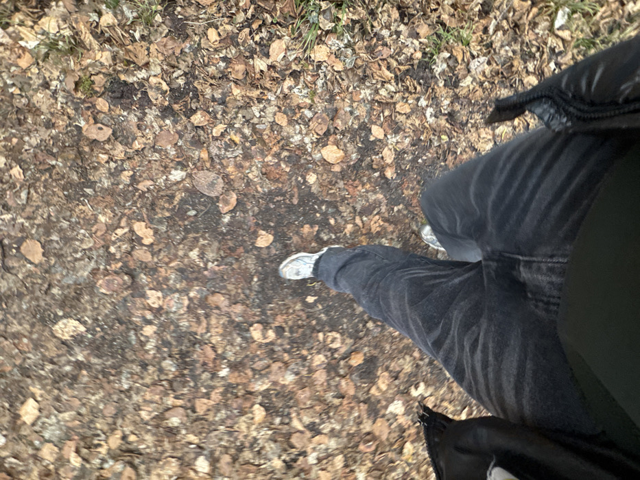 A person wearing gray sneakers and black jeans stands on a ground covered in fallen leaves. The leaves are mostly brown and tan, scattered across a dirt path. Part of a black jacket is visible on the right side of the frame. The image is taken from a slightly elevated, downward-facing perspective, offering a view of the ground and the person's lower body.