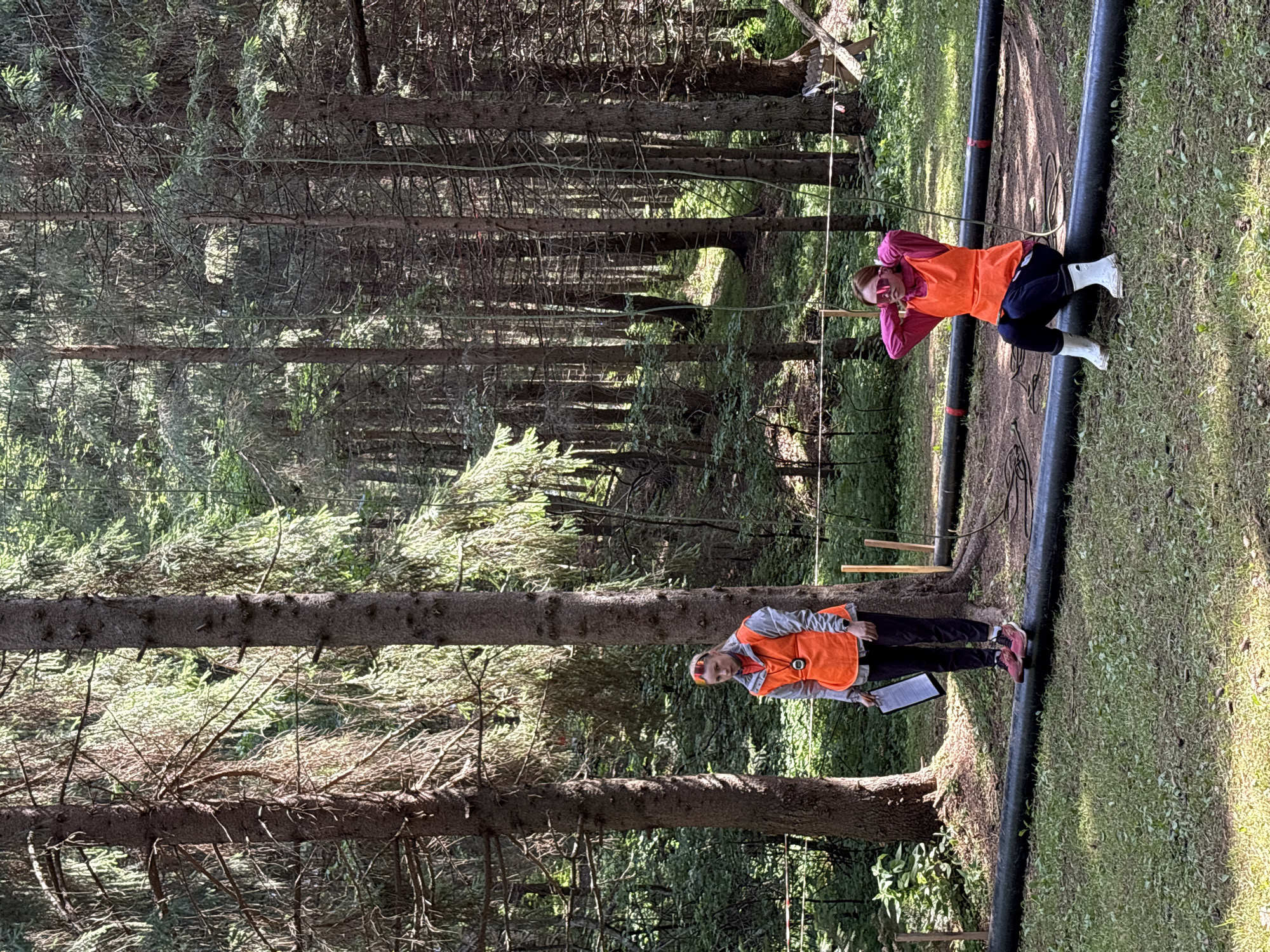 In a sun-dappled forest, two individuals are engaged in an outdoor activity. One person, wearing an orange vest over a pink jacket and dark pants, is suspended horizontally by a rope, their legs extended. They are also wearing white boots and sunglasses. Nearby, another person in a similar orange vest over a grey jacket, dark pants, and pink shoes, stands holding a clipboard. They appear to be observing or participating in the activity. The setting is a dense forest with tall trees and lush green undergrowth. Two thick, dark, cylindrical objects are visible on the ground, possibly part of an obstacle course or equipment for the activity. The presence of the vests suggests a structured event or team activity. The lighting indicates it is daytime, with sunlight filtering through the trees, casting shadows. The environment appears natural and somewhat rugged, characteristic of a forest location.