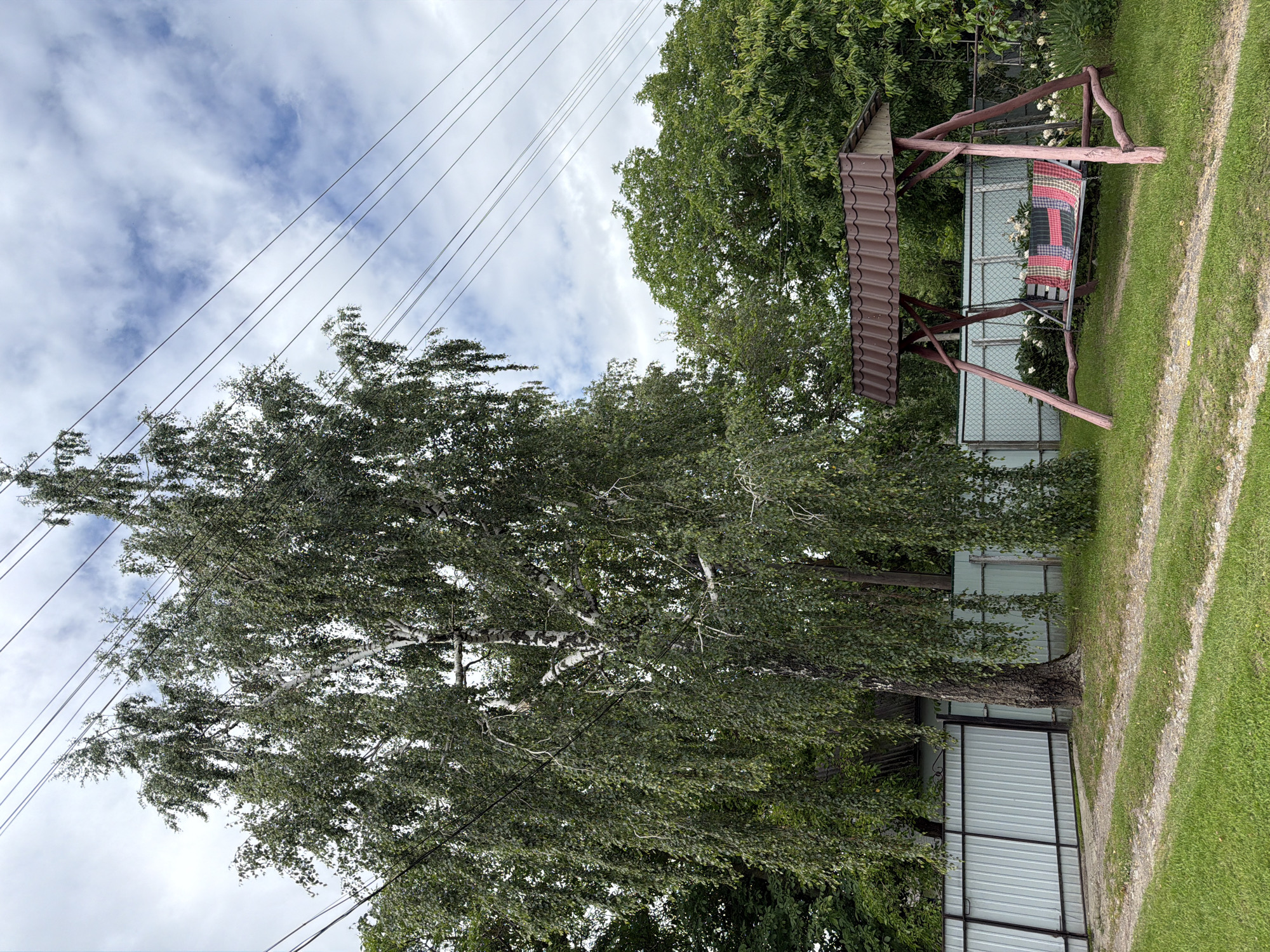 This is a photograph of a backyard scene in Kivshovata, Ukraine, on a cloudy day. In the foreground, a grassy lawn is visible with tire tracks leading towards a swing set. The swing set is made of wood with a brown tiled roof and a patterned cushion on the seat. Behind the swing set, a light blue chain-link fence separates the yard from a metal gate. A tall birch tree with a white trunk stands to the left of the swing set, its branches hanging low over the scene. In the background, lush green trees and a cloudy sky can be seen. Power lines are strung across the upper portion of the image.