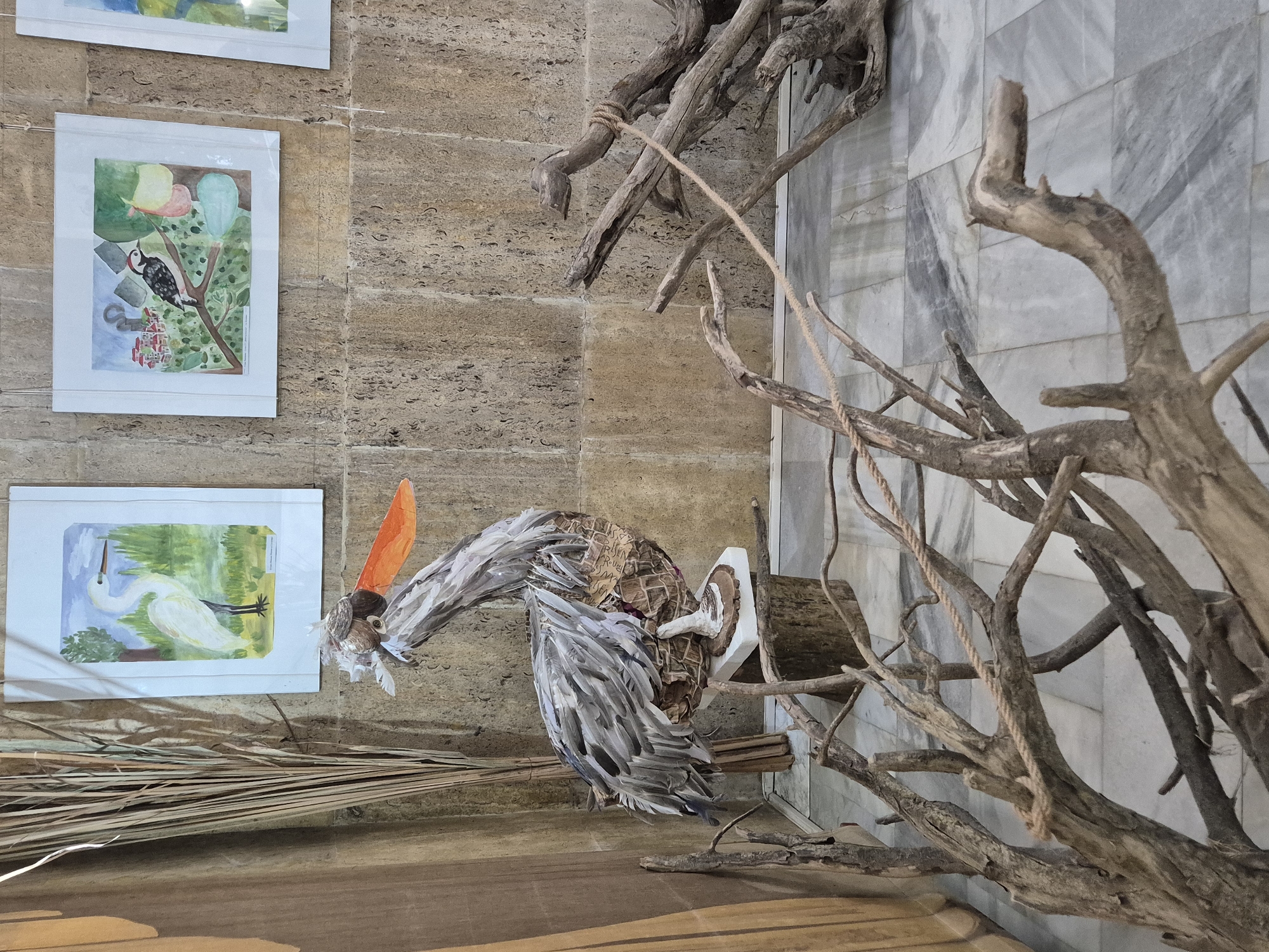 The image depicts an indoor art installation, potentially at the Srebarna Nature Reserve visitor center in Bulgaria. The installation features nature-themed artwork and sculptural elements.
On the left, three framed watercolor paintings are hung on a wall with a light brown, textured surface. The top painting is partially visible, followed by a painting of a woodpecker on a branch with colorful balloons in the background. The third painting depicts a white heron in a green landscape.
Below the paintings is a collection of dried reeds or straws. To the right of the paintings is a bird sculpture, constructed from paper, cardboard, and natural materials like dried plant fibers and orange feathers. The sculpture is mounted on a wooden frame attached to a large driftwood structure. The driftwood extends upwards and outwards, creating a naturalistic, branching effect. The wall behind the driftwood is covered in marble or a similar patterned material.
The installation is situated on a wooden platform or shelf. The environment suggests an art exhibition or display area within a nature reserve or cultural center. No people are visible in the image.